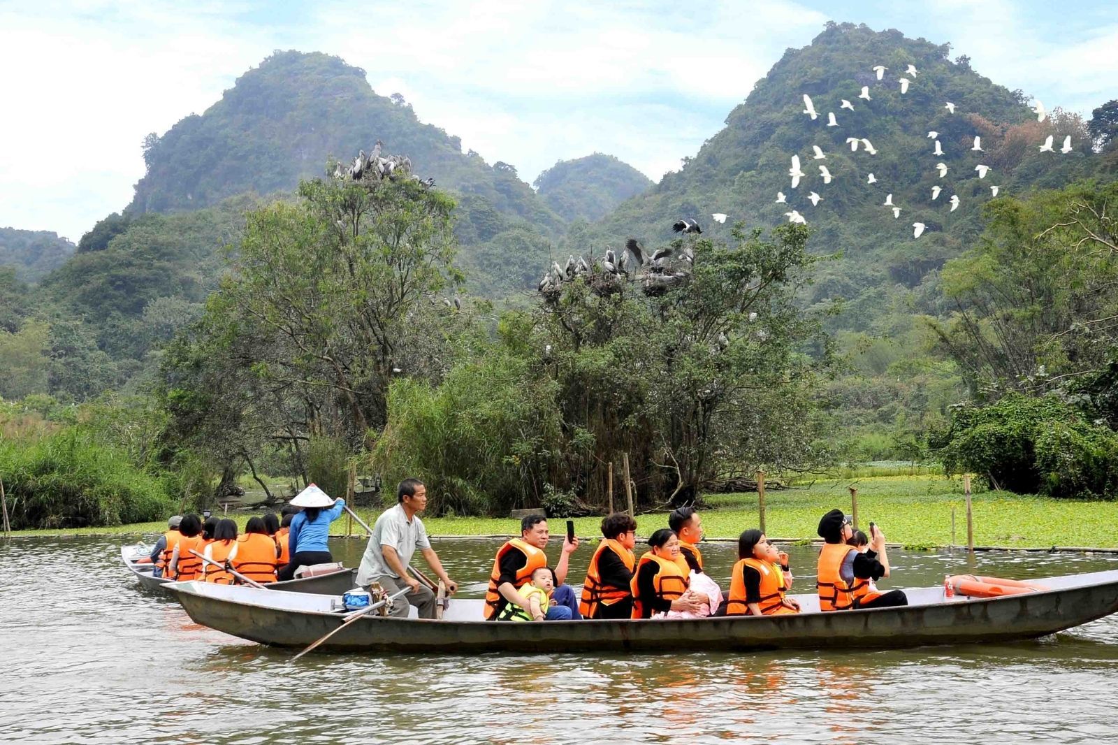 Khoảnh khắc muôn chim tung cánh trên bầu trời Thung Nham