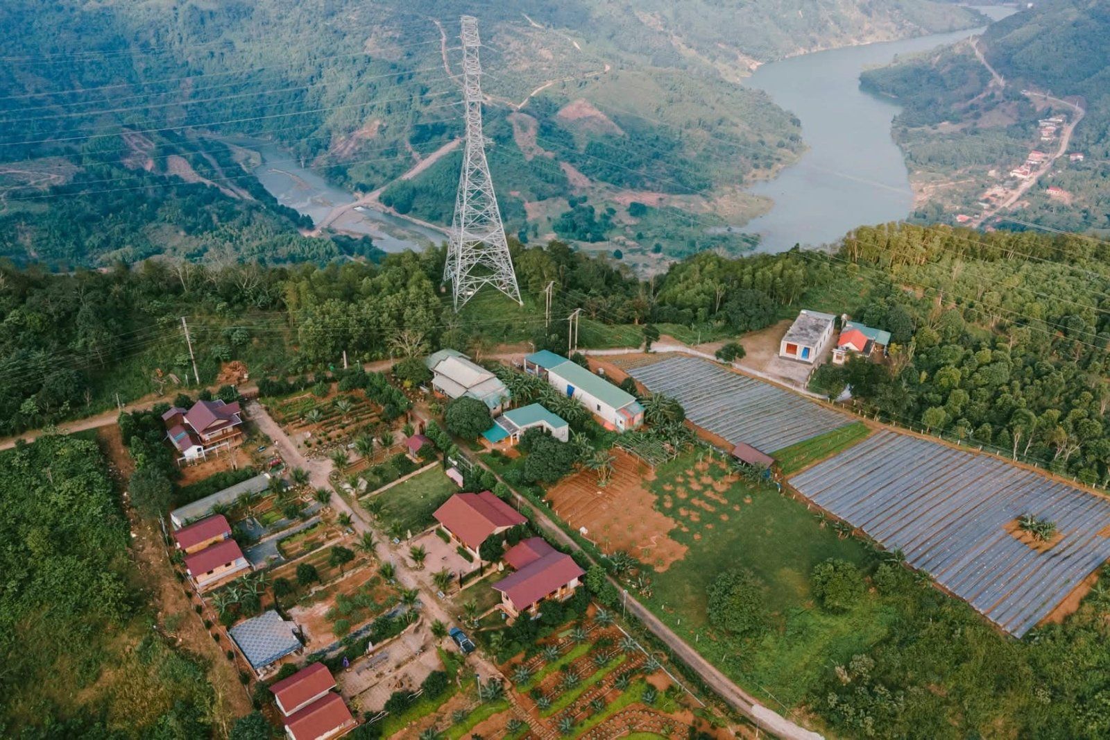 Không gian bình yên xanh mát