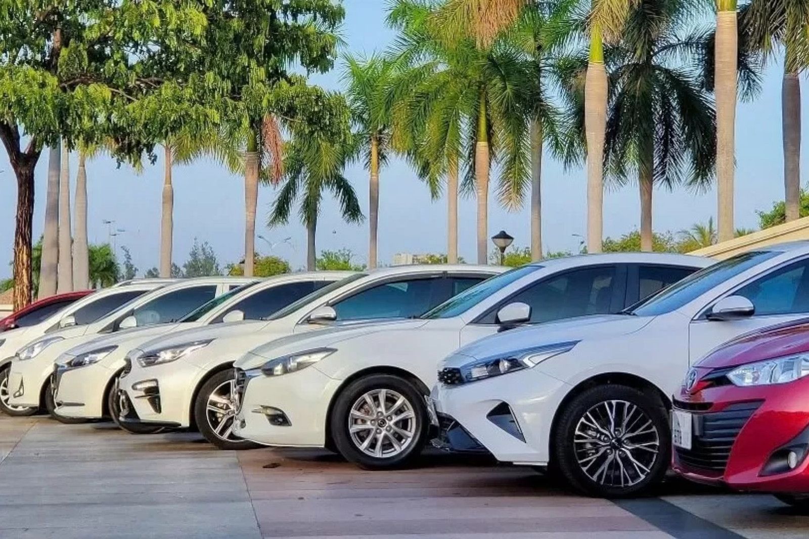 Không ngại nắng mưa, vi vu Quảng Trị với xe ô tô