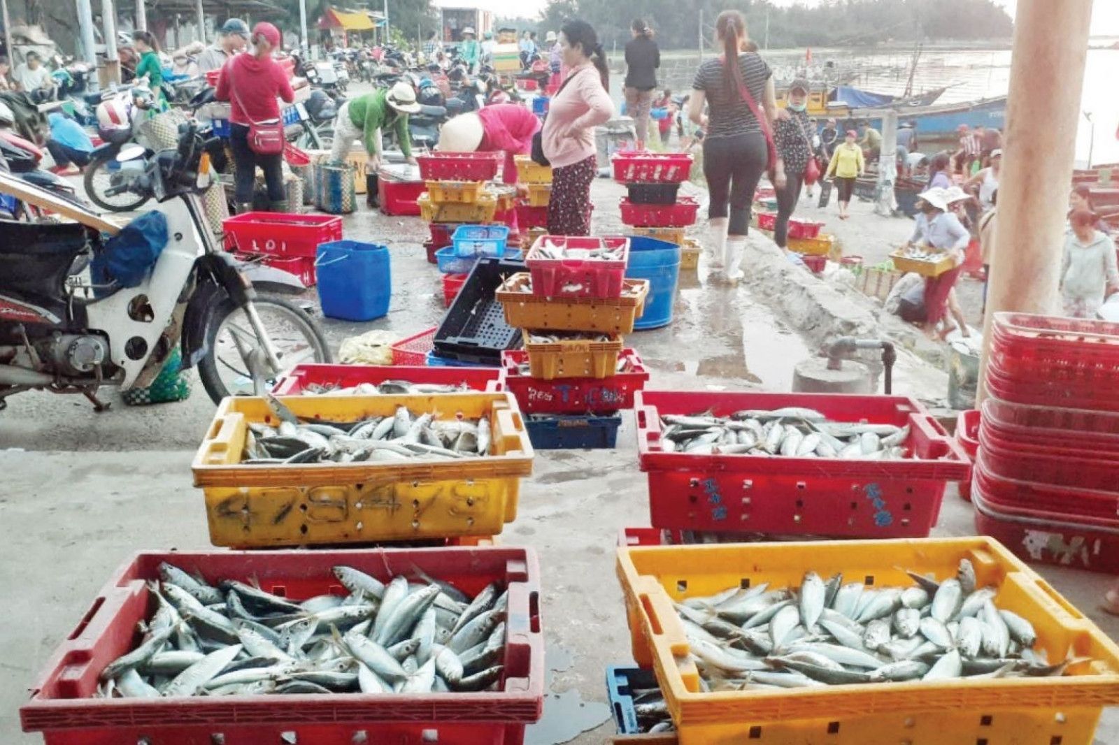 Khu chợ hải sản đông đúc tại xứ Huế