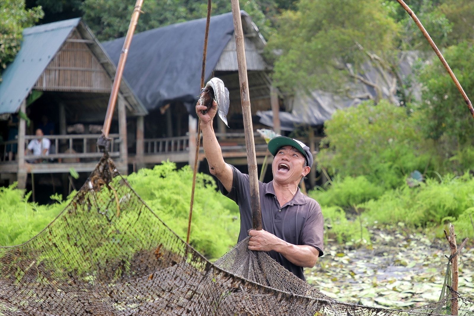 Khu du lịch sinh thái Trằm Trà Lộc