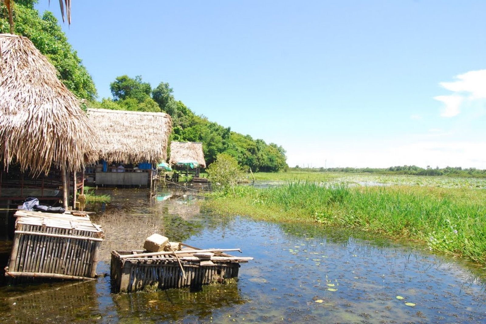 Khu du lịch sinh thái Trằm Trà Lộc