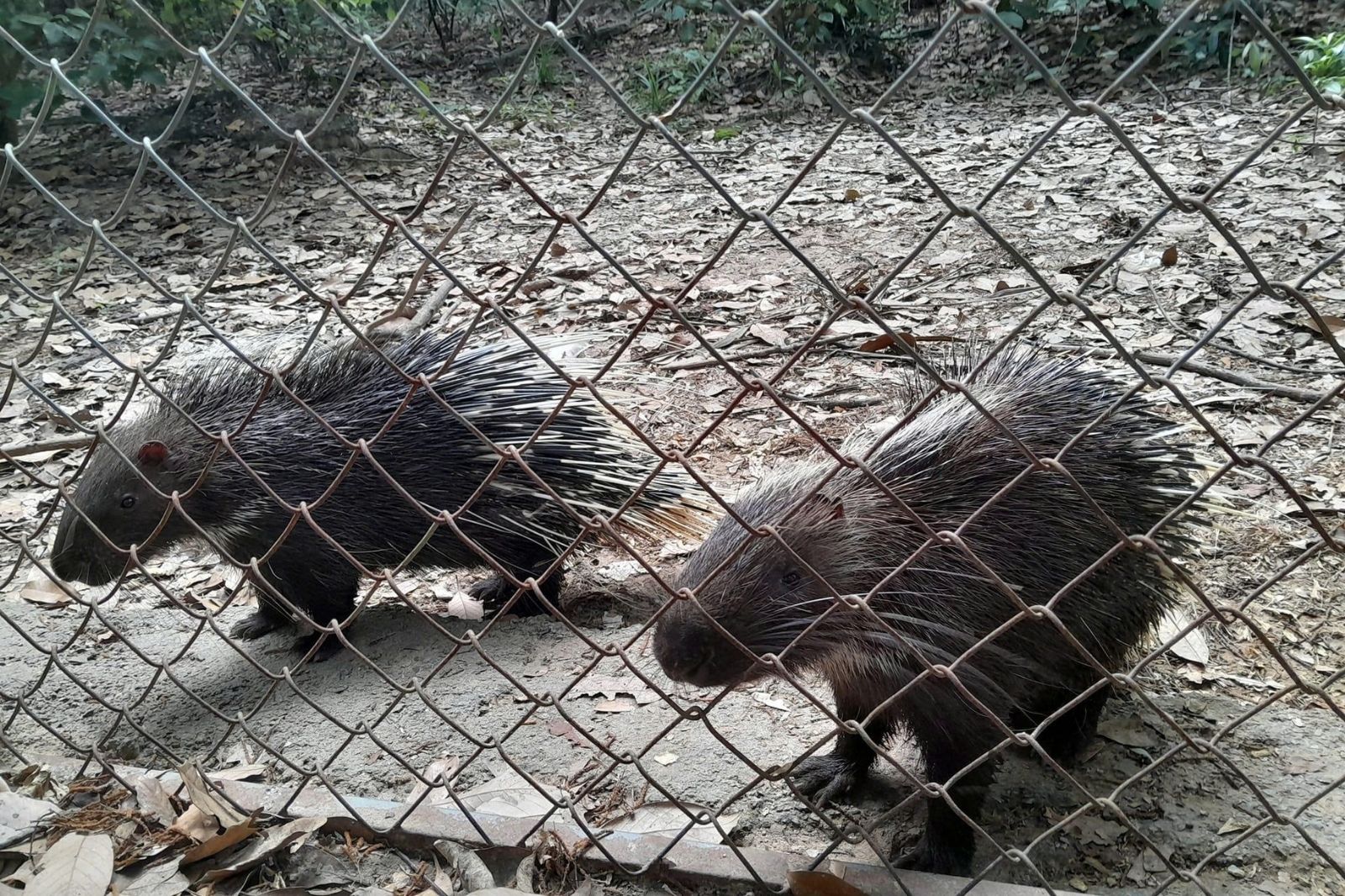 Khu vực bảo tồn các loại động vật hoang dã