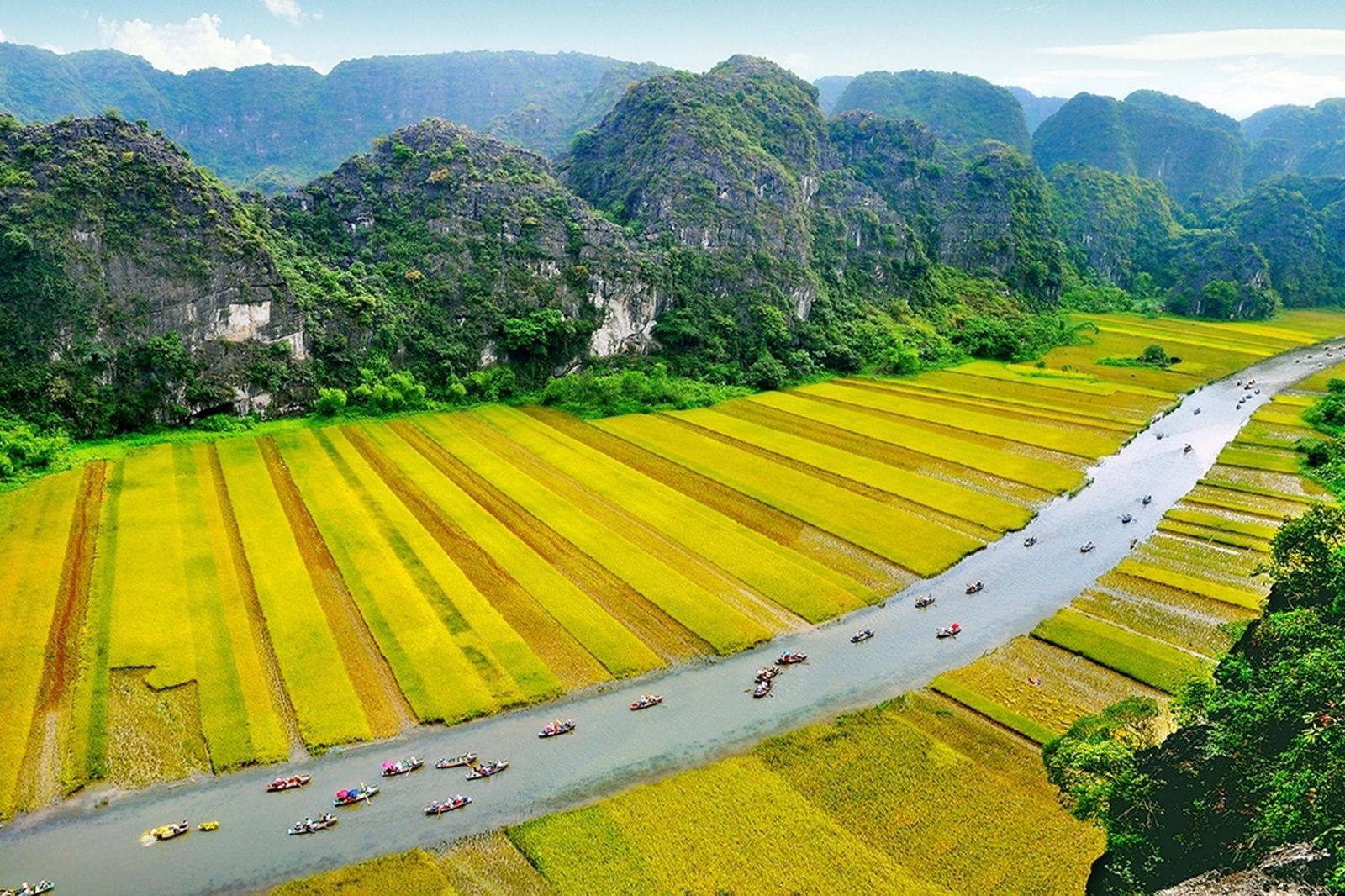 Khung cảnh đẹp như tranh của Tam Cốc mỗi mùa lúa chín