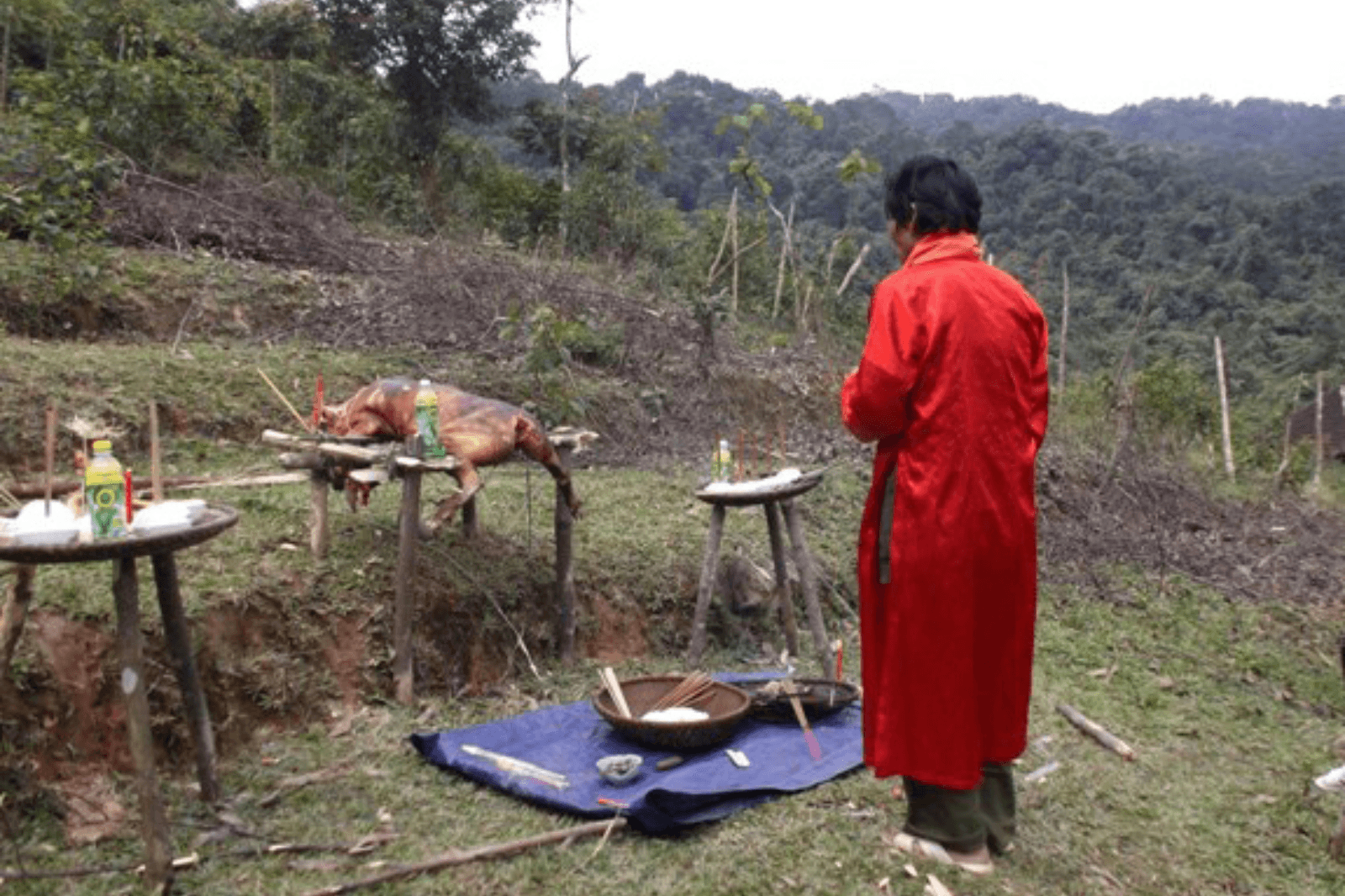 Lễ cúng như một lời biết ơn sâu sắc với thần linh trong niềm tin tín ngưỡng 