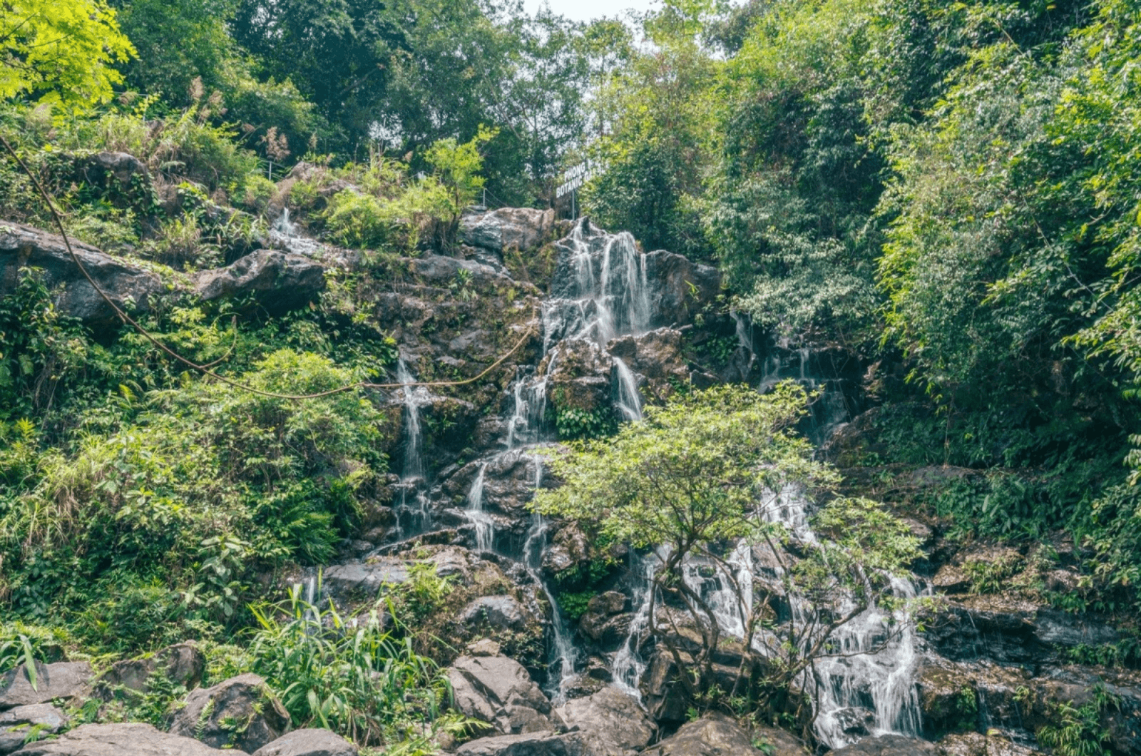Lộ trình 2 sẽ là hành trình trekking sâu hơn vào Vườn Thực Vật Phong Nha