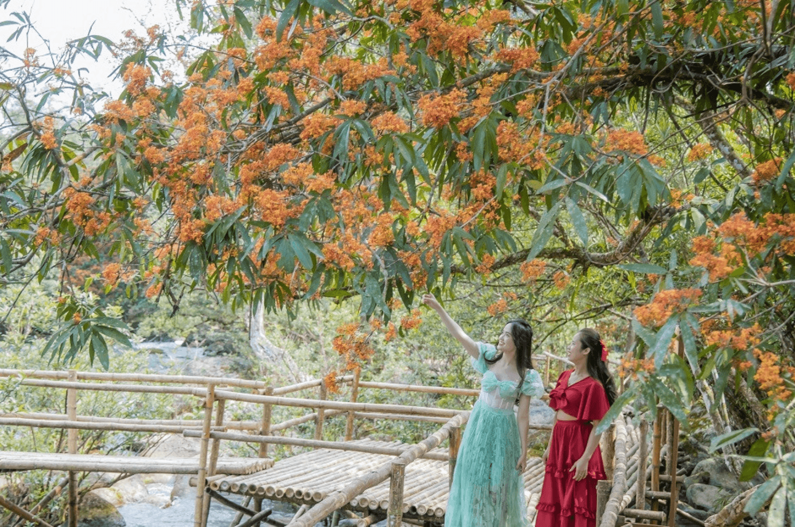 Màu hoa rực rỡ giữa núi rừng