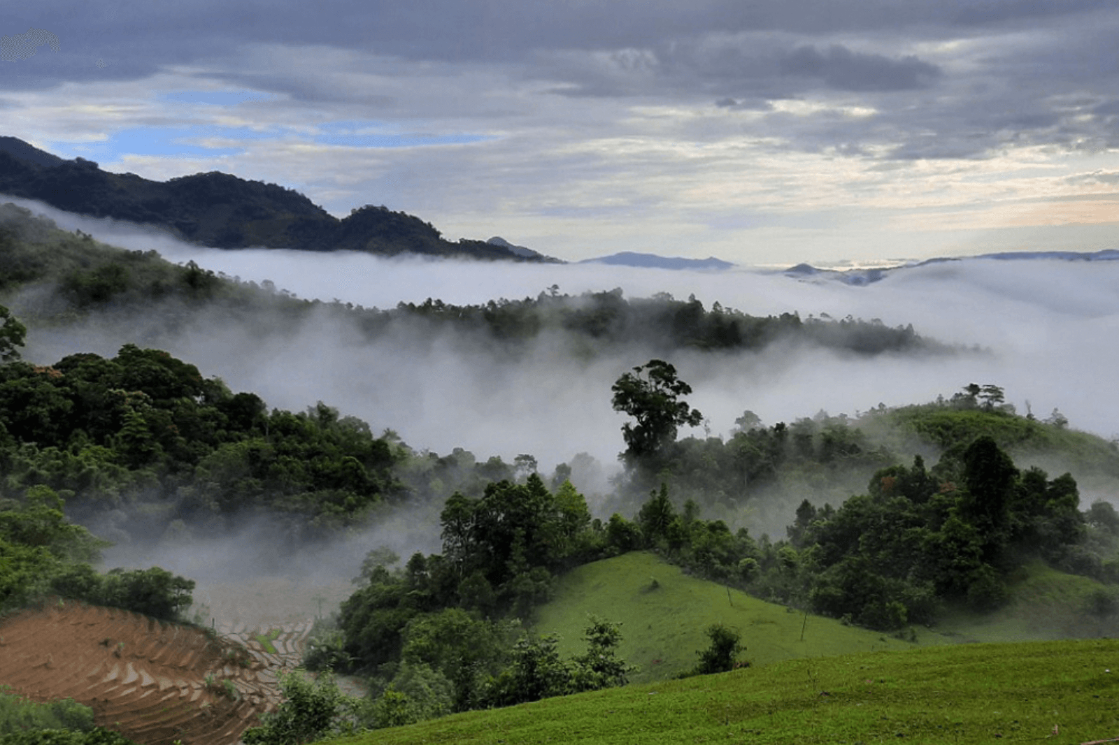 Mây-trên-đỉnh-núi-Ngọc-Linh 