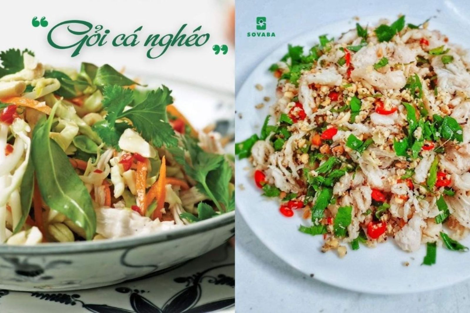 Món gỏi cá nghéo Quảng Bình mang đậm hương vị biển cả 