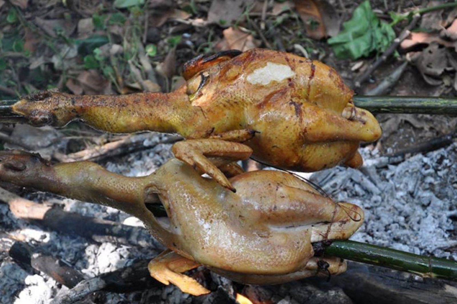 Một chuyến dã ngoại thú vị ở Thác Đá Dăm