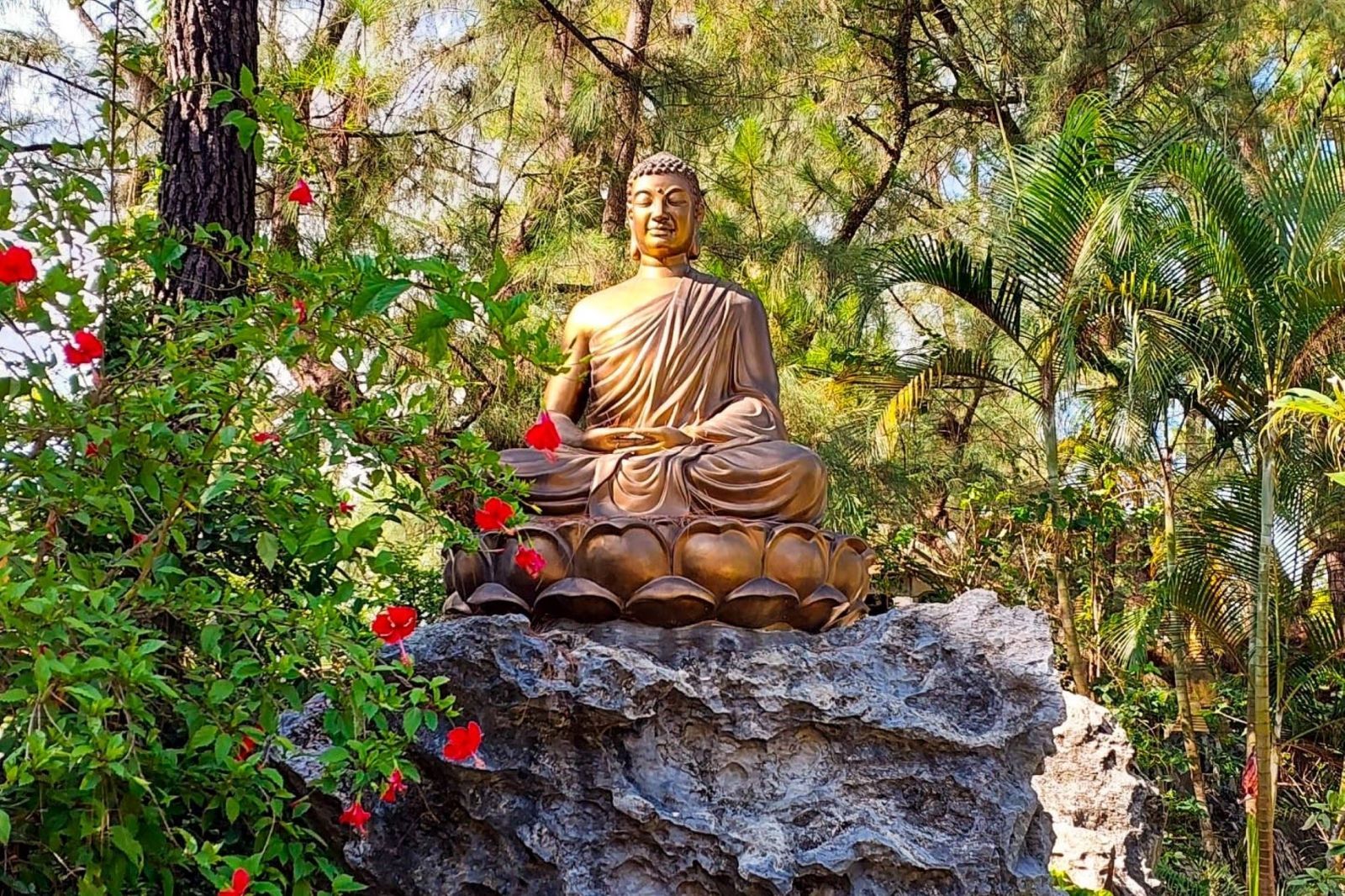 Một góc bình yên bên trong chùa Thiền Lâm