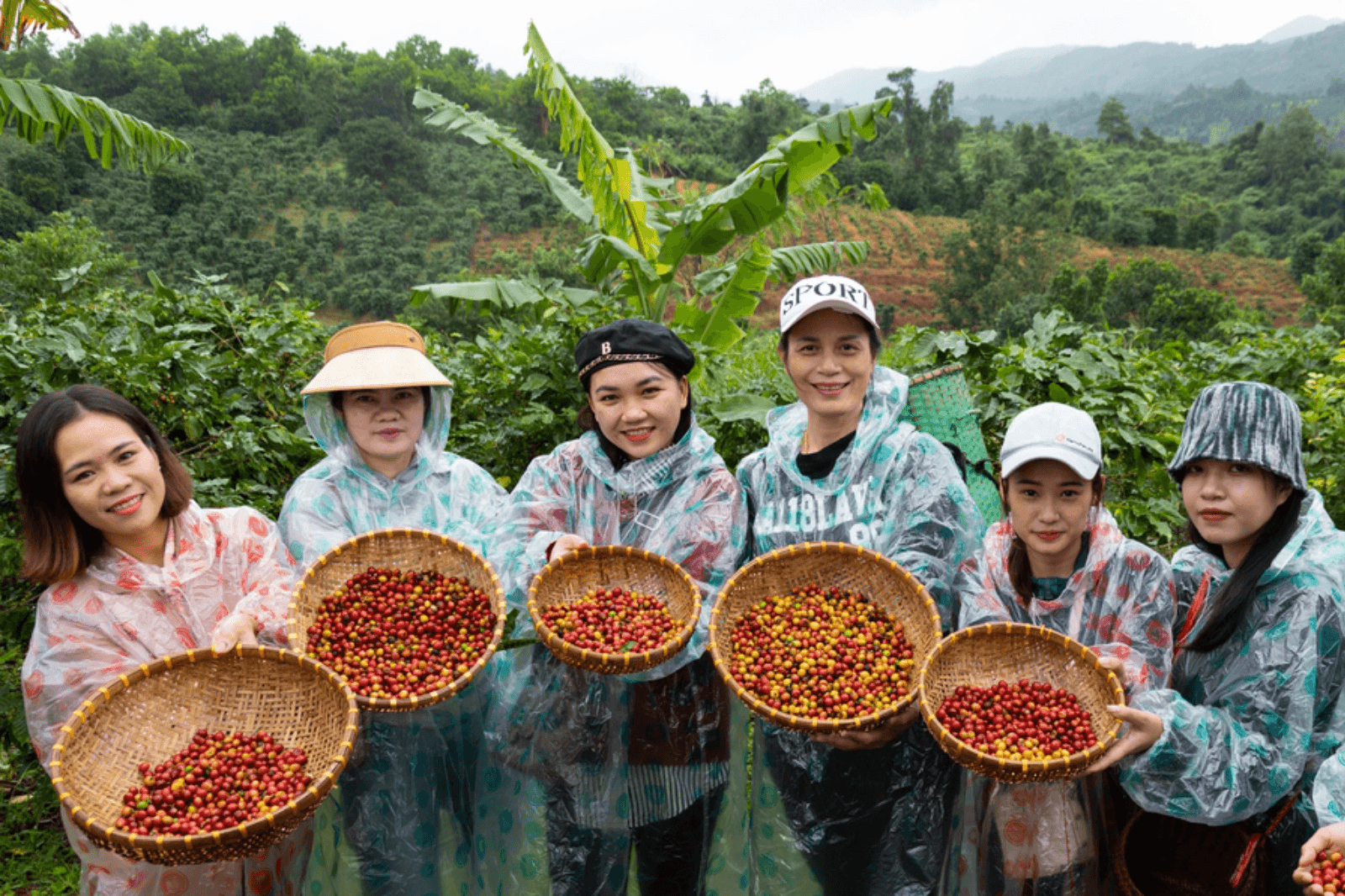 Một trải nghiệm cho tín đồ yêu cà phê 