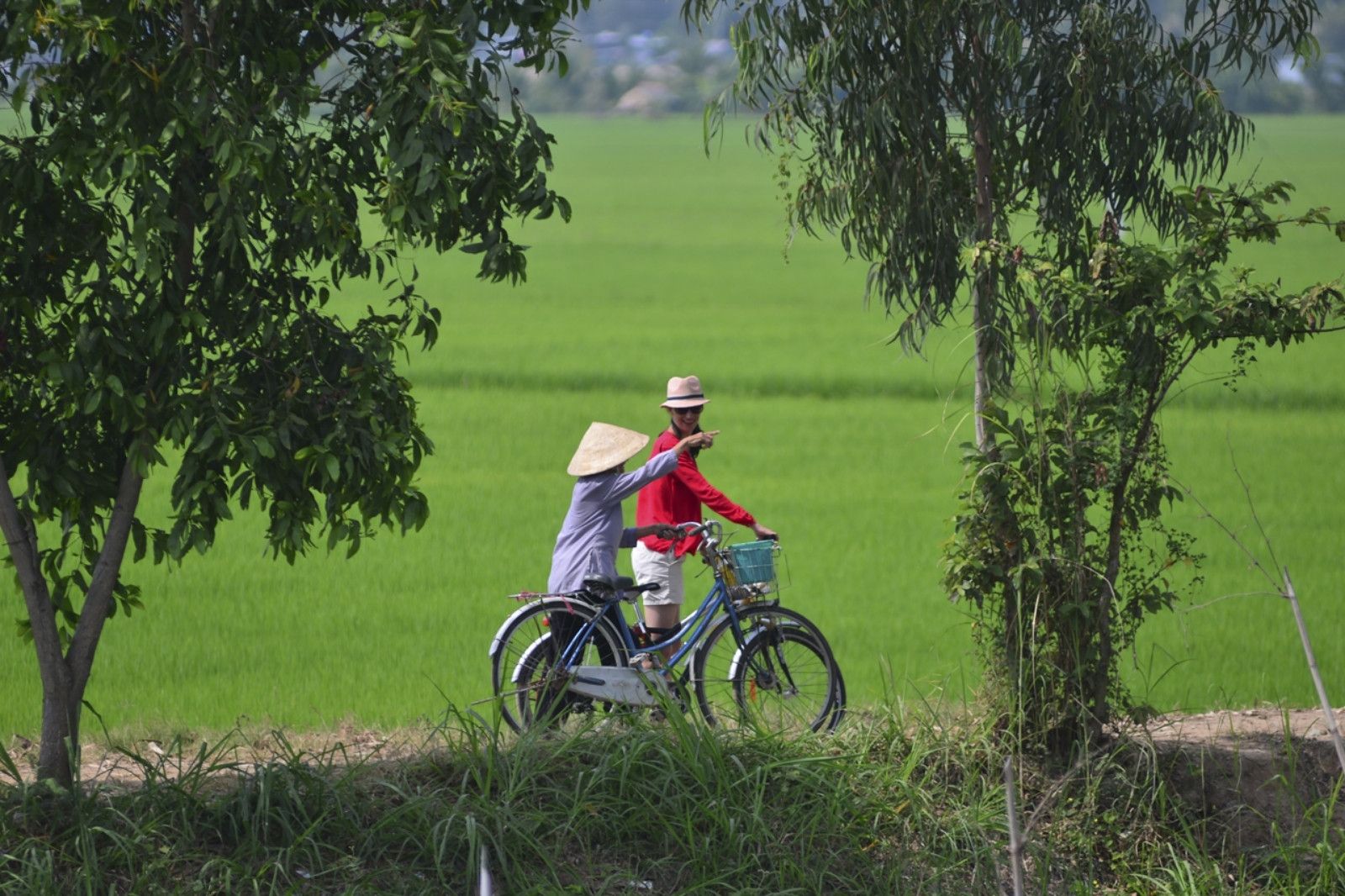 Một trải nghiệm khó quên ở làng quê Cam Lộ, Quảng Trị