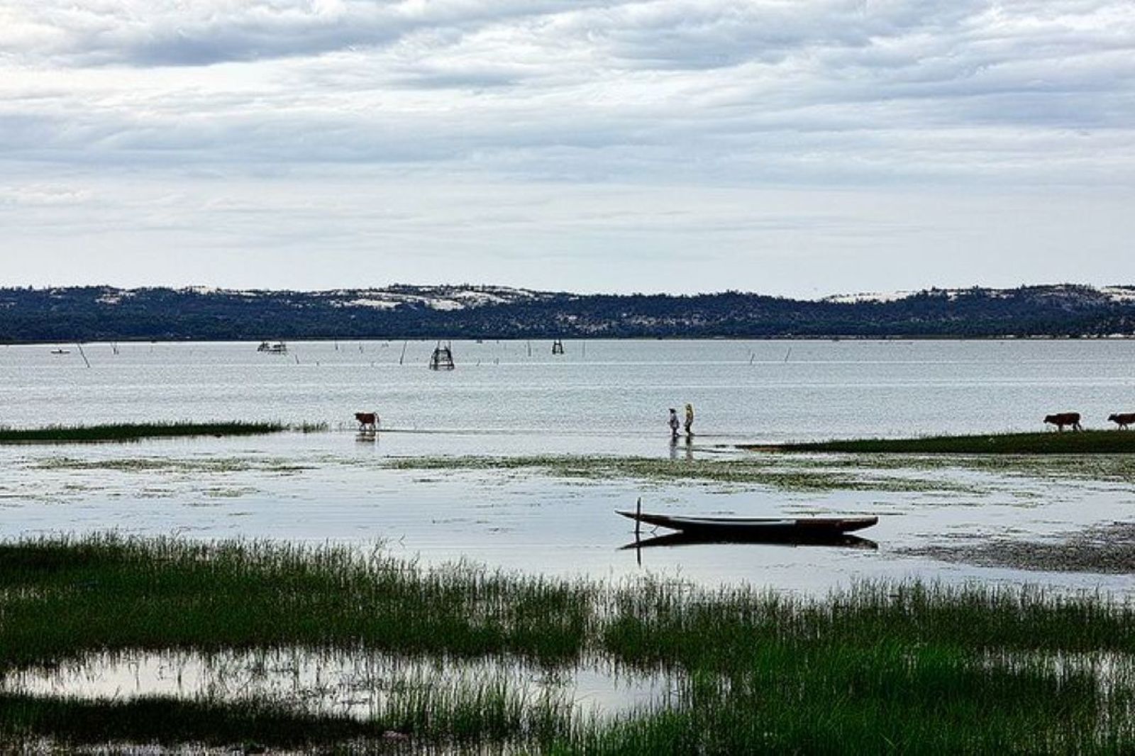 Một trong những địa điểm câu cá nước ngọt nổi tiếng tại Quảng Bình