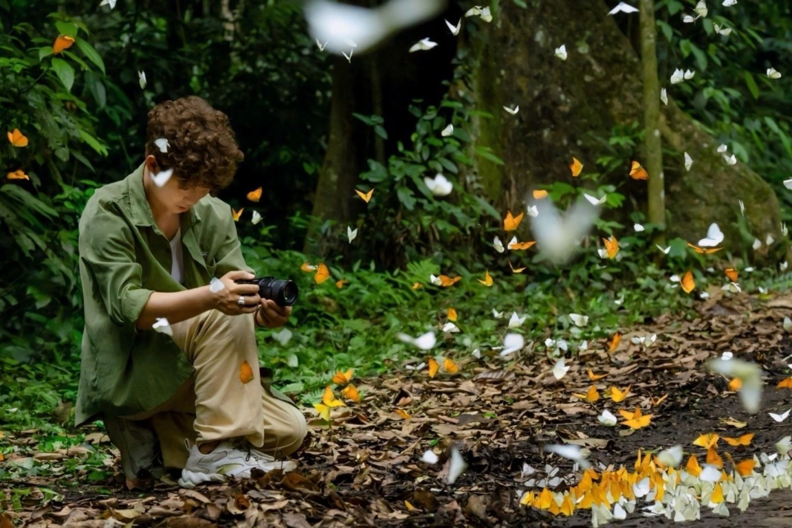 Mùa bướm tại Cúc Phương