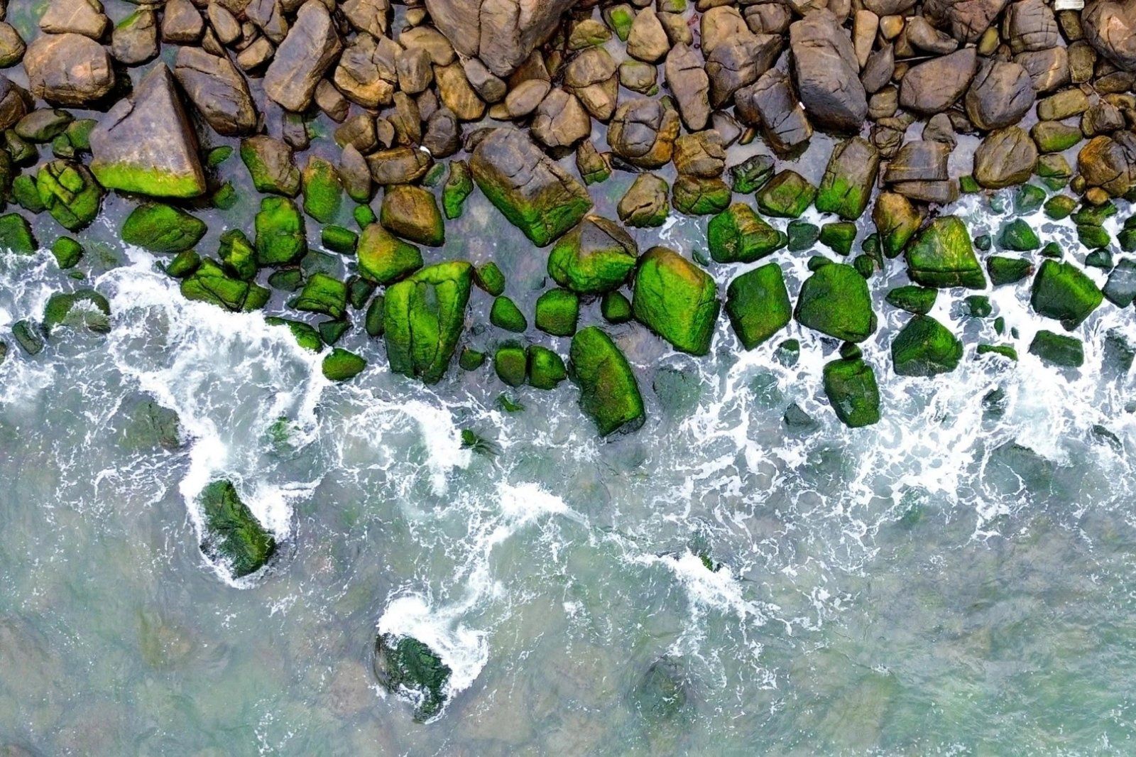 Ngắm bãi rêu xanh mướt mỗi năm một lần vào tháng 2 đến tháng 4 tại Rạn Nam Ô