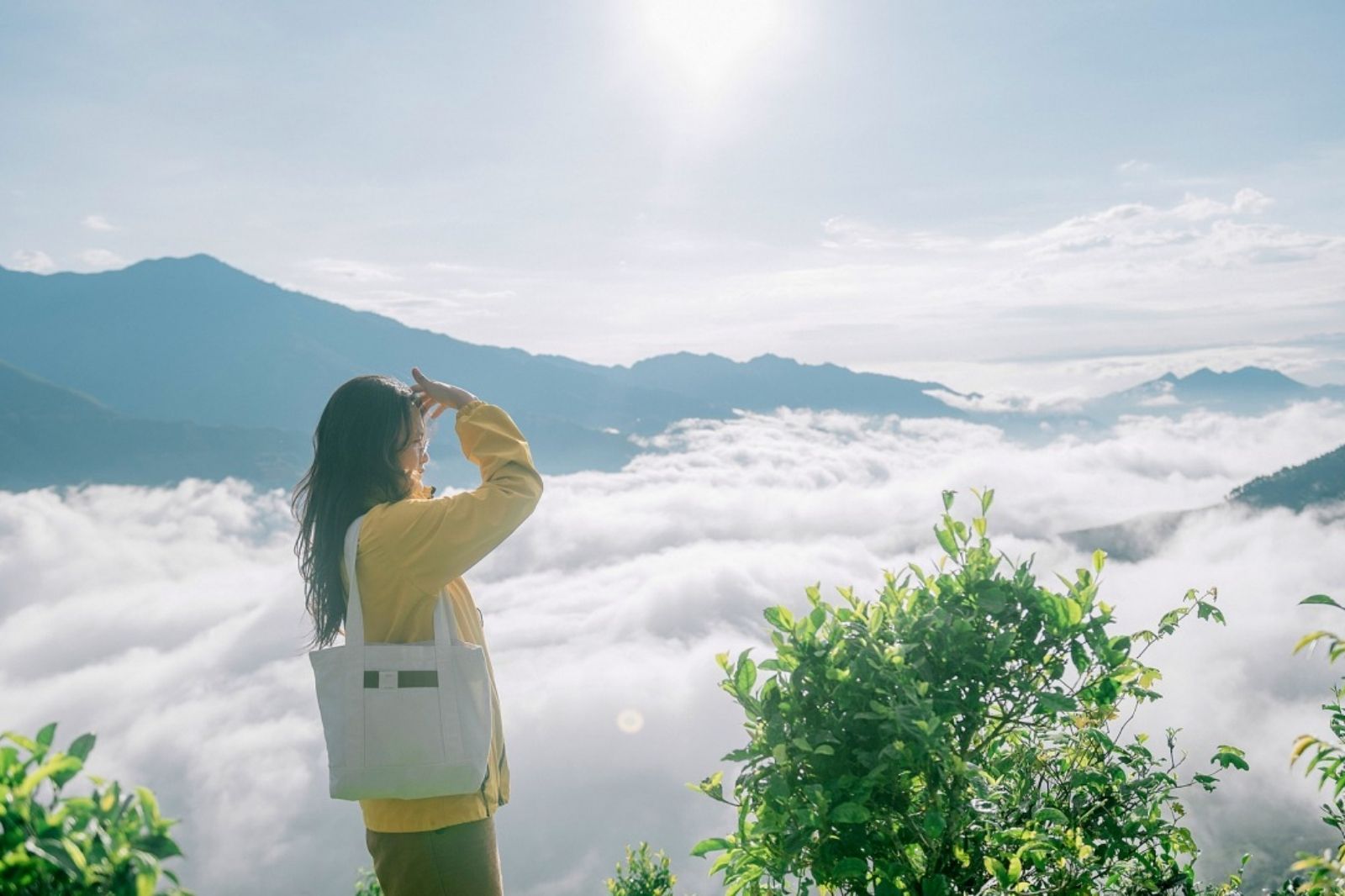 Ngắm nhìn biển mây đẹp vô thực trên đỉnh Sa Mù