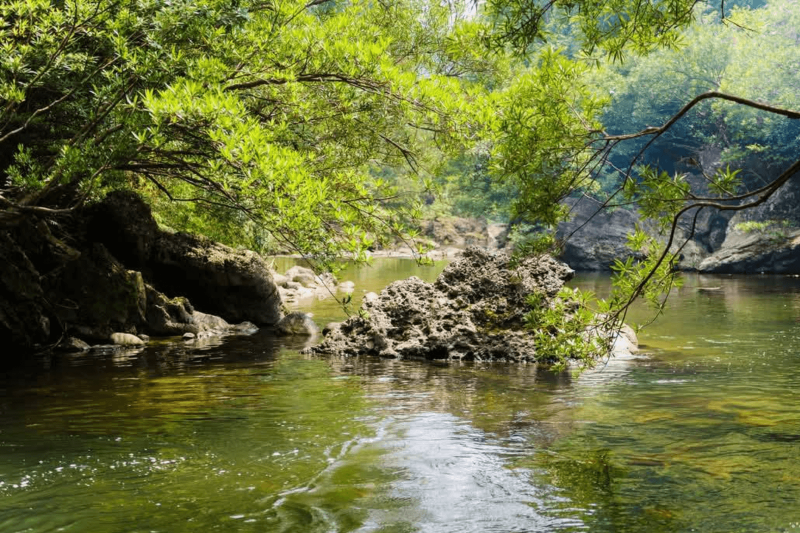 Ngắm nhìn cảnh đẹp của núi rừng