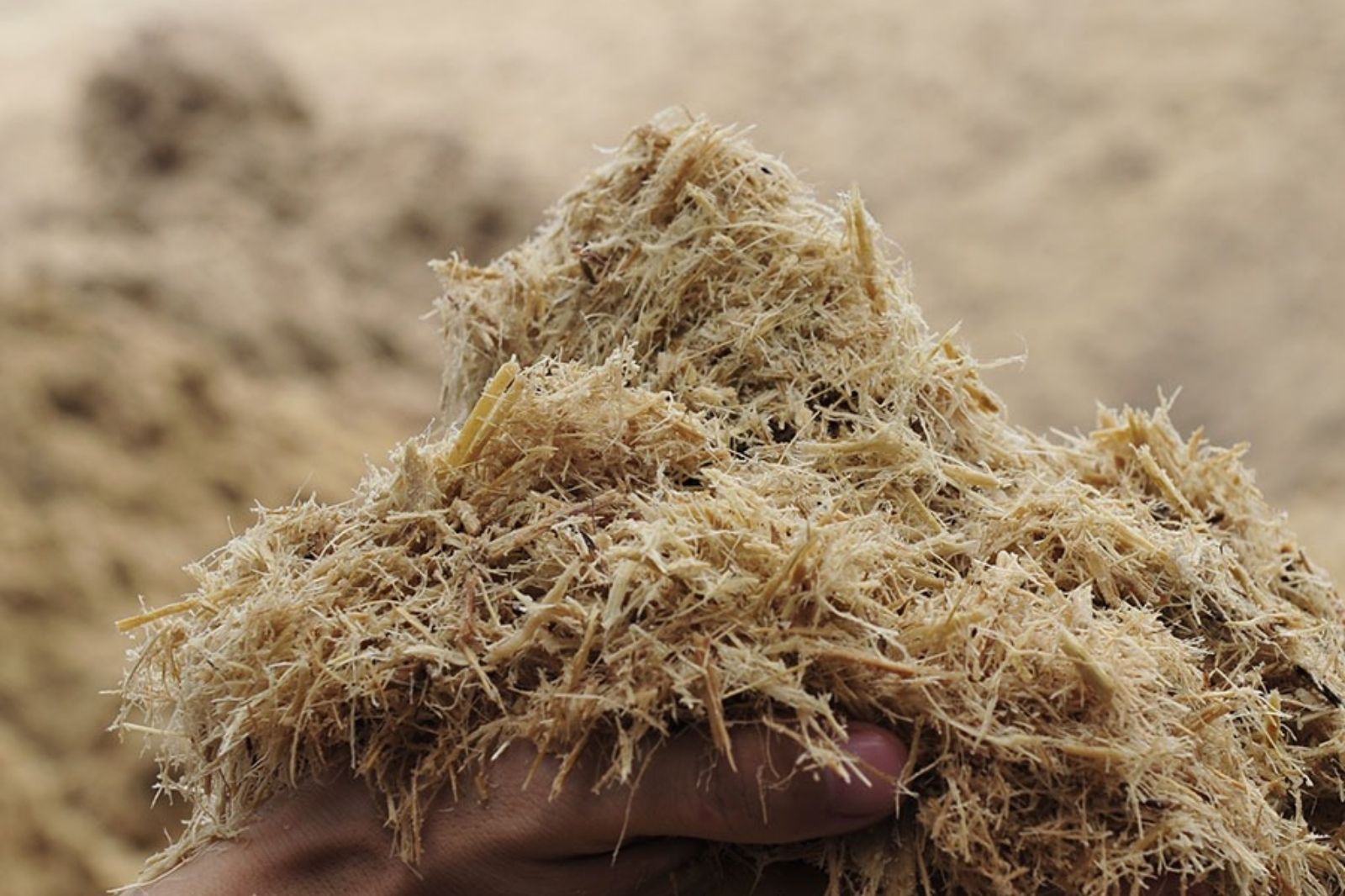 Nguyên liệu làm giấy được tuyển chọn kỹ lưỡng