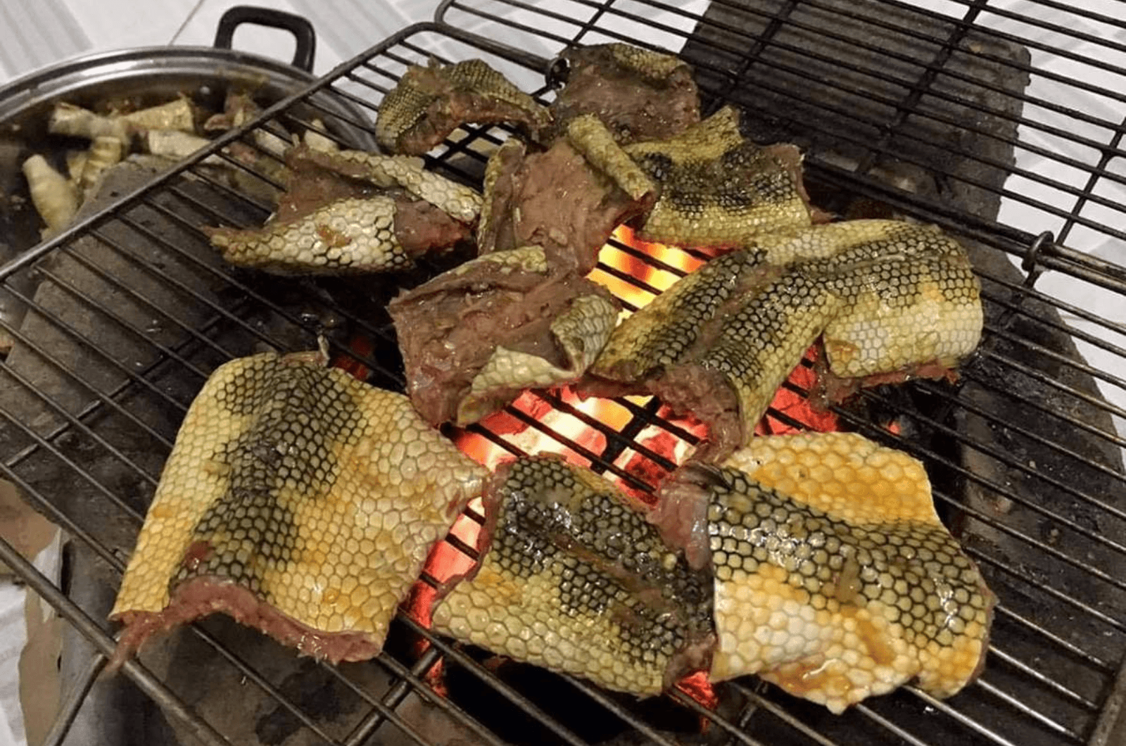 Nhiều cách chế biến đẻn biển thơm ngon cho thực khách