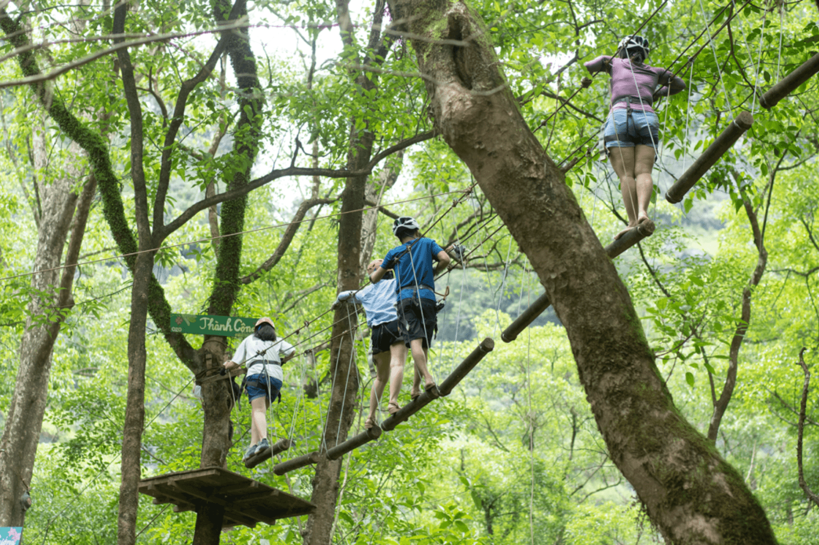 Nhiều trò chơi trên cây thú vị ở Ozo Park