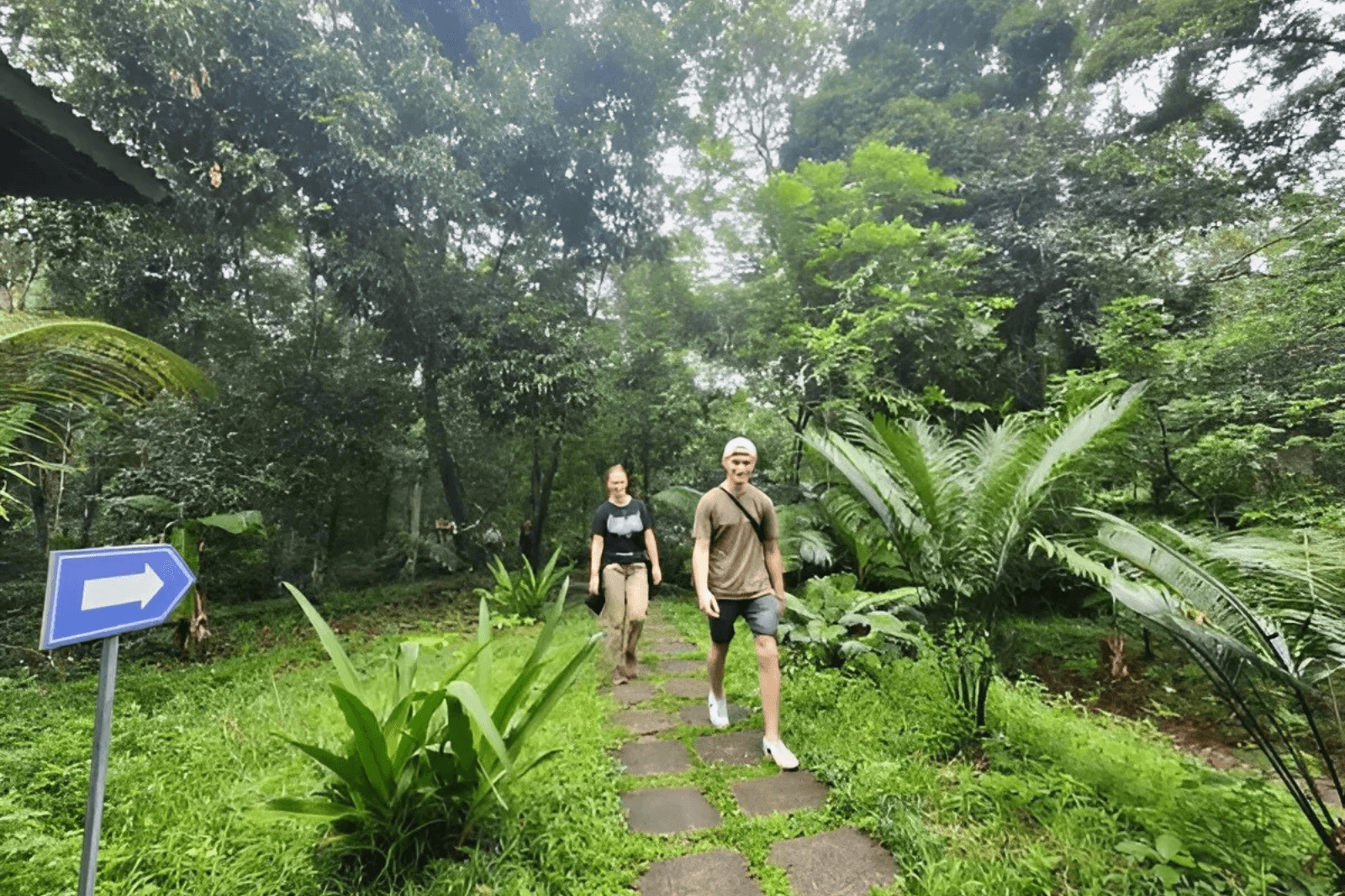 Nhiều tuyến tham quan cho du khách lựa chọn