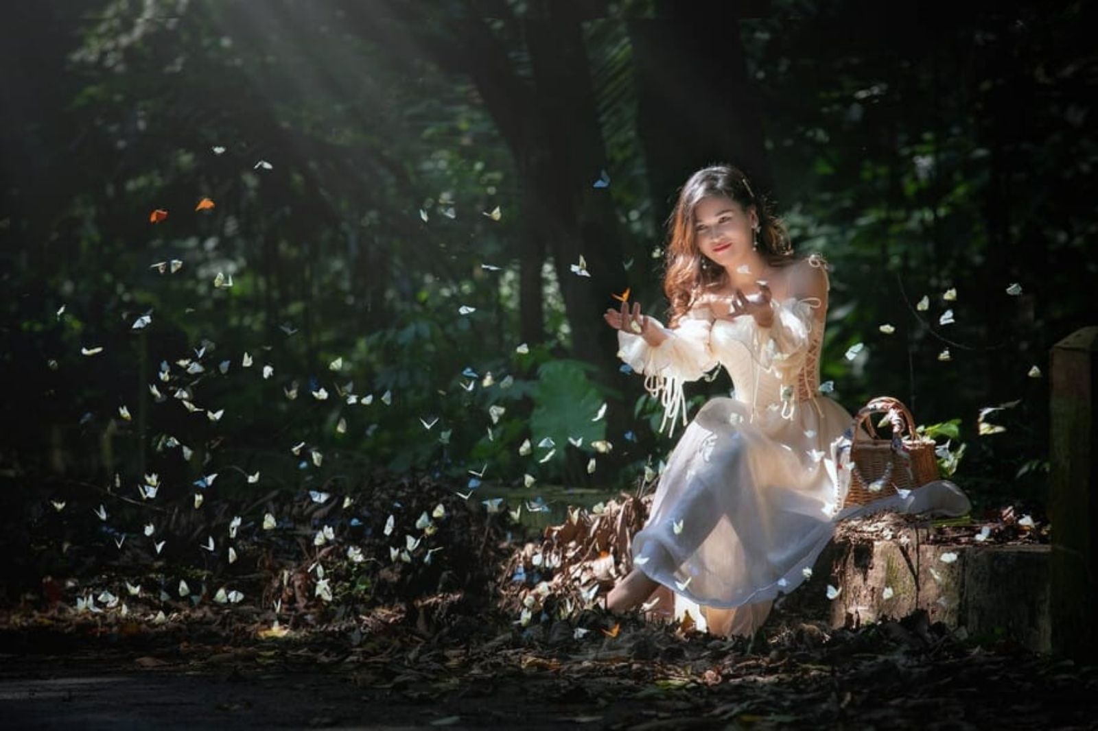 Những bộ đầm thướt tha săn bướm ở Vườn quốc gia Cúc Phương