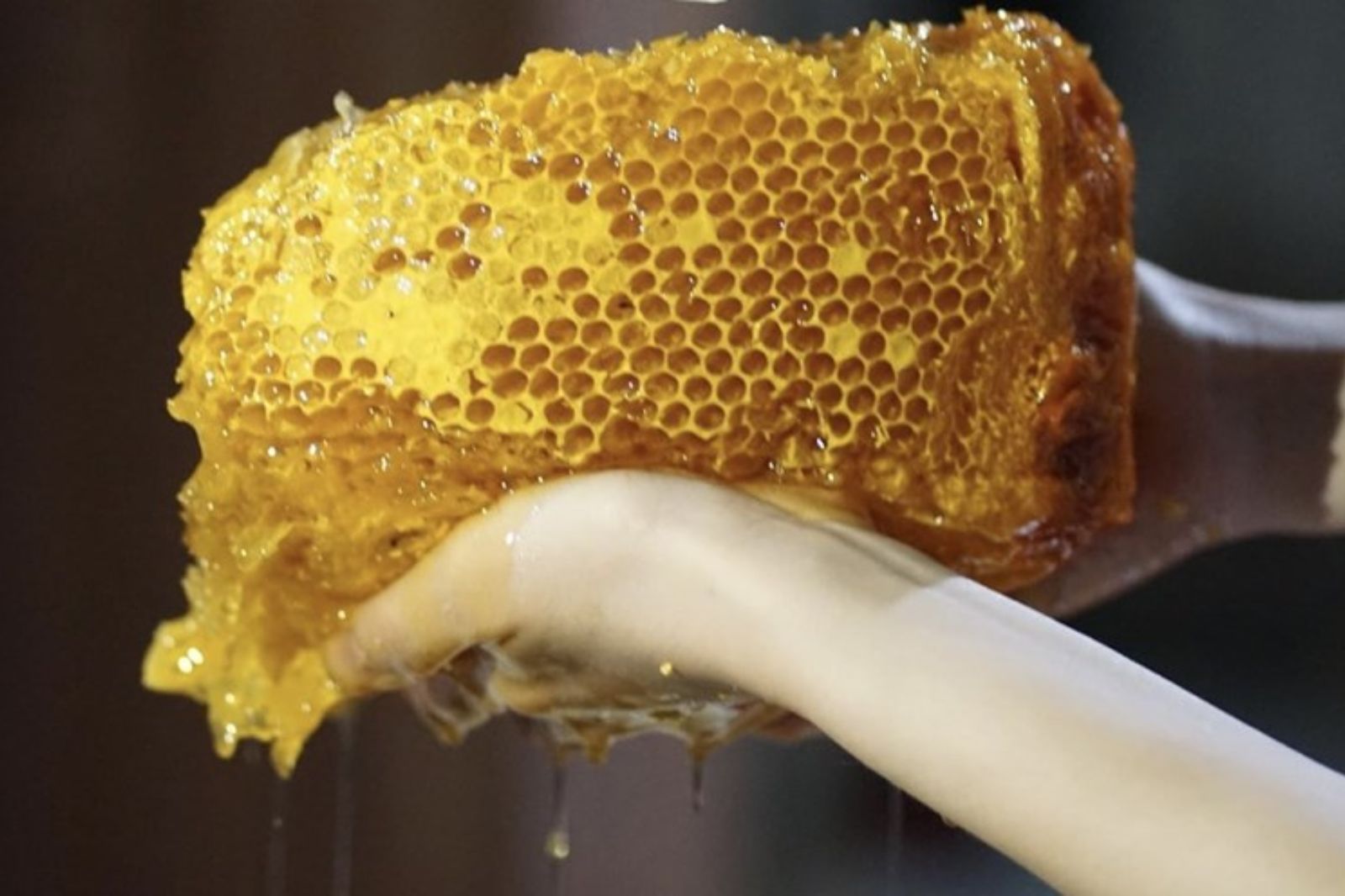 Những giọt mật ong rừng tinh túy, chất lượng