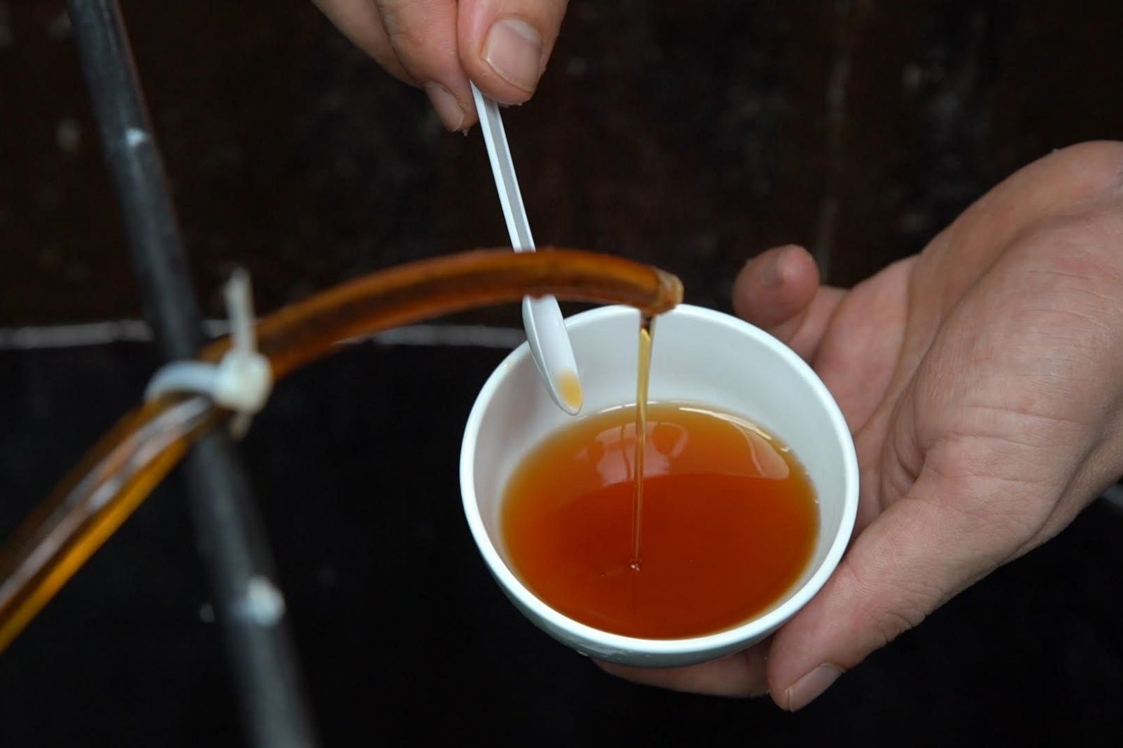 Những giọt nước mắm tinh tuý tạo nên thương hiệu của một làng nghề