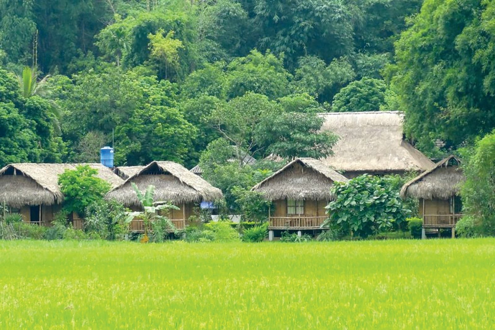 Những ngôi nhà sàn giữa núi rừng phía Tây Quảng Trị