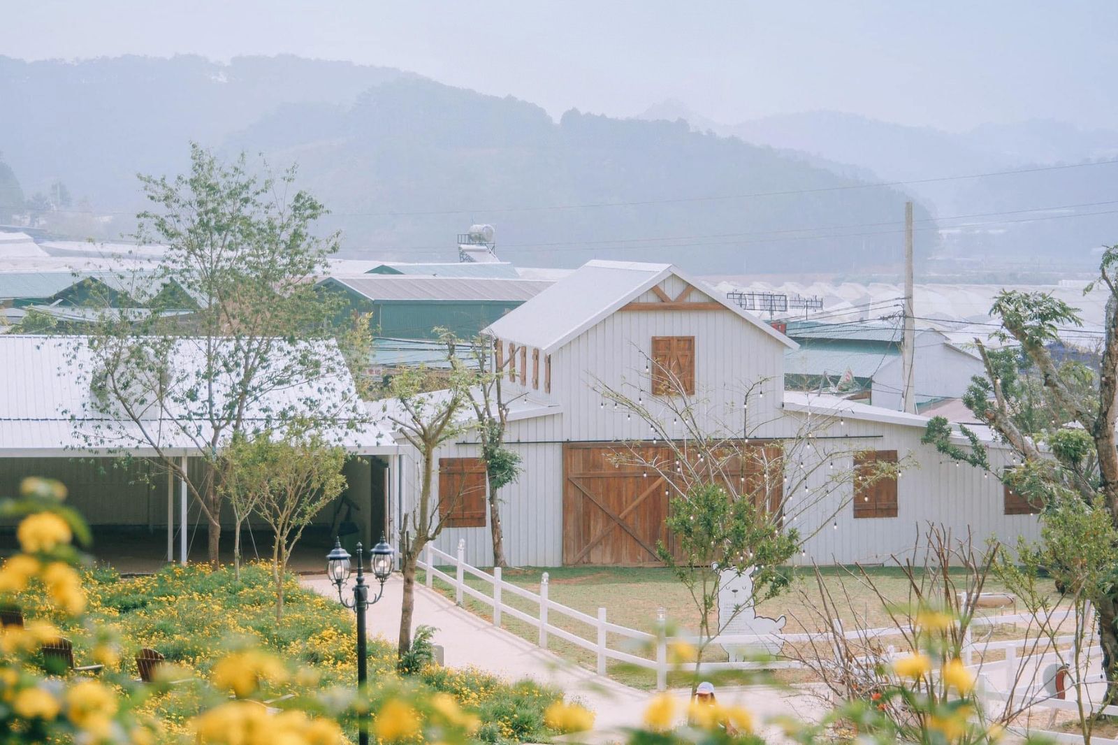 Nông Trại Puppy Farm