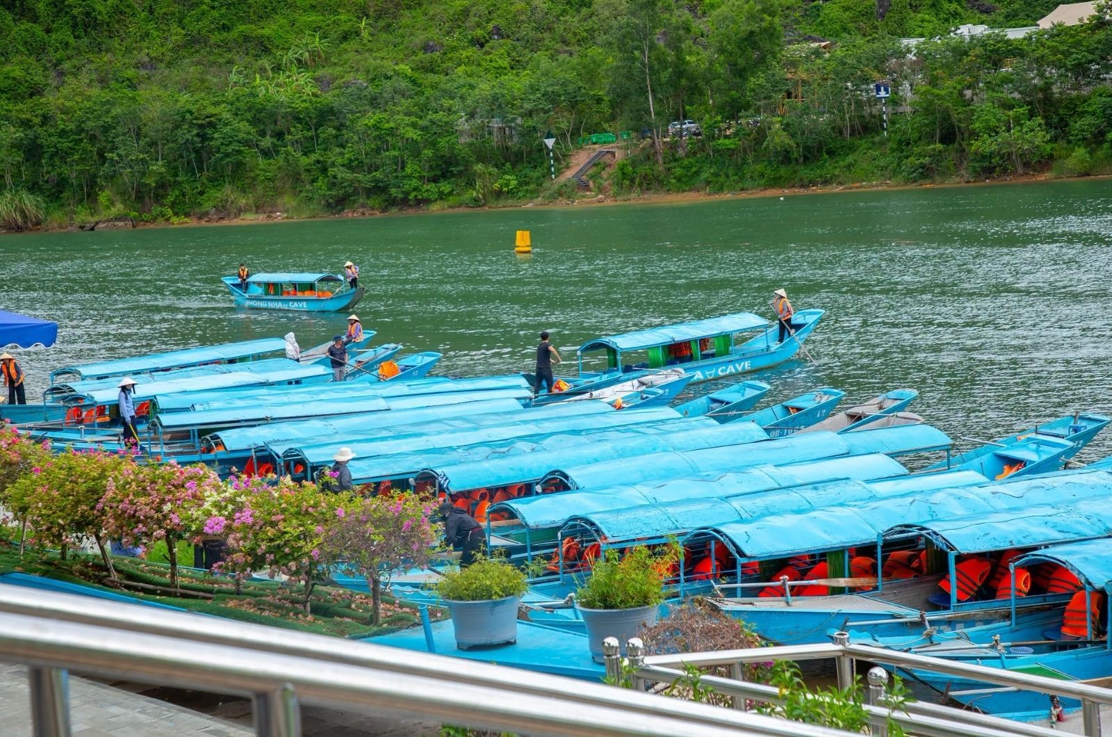 Khám Phá Động Phong Nha Nửa Ngày Bằng Thuyền 