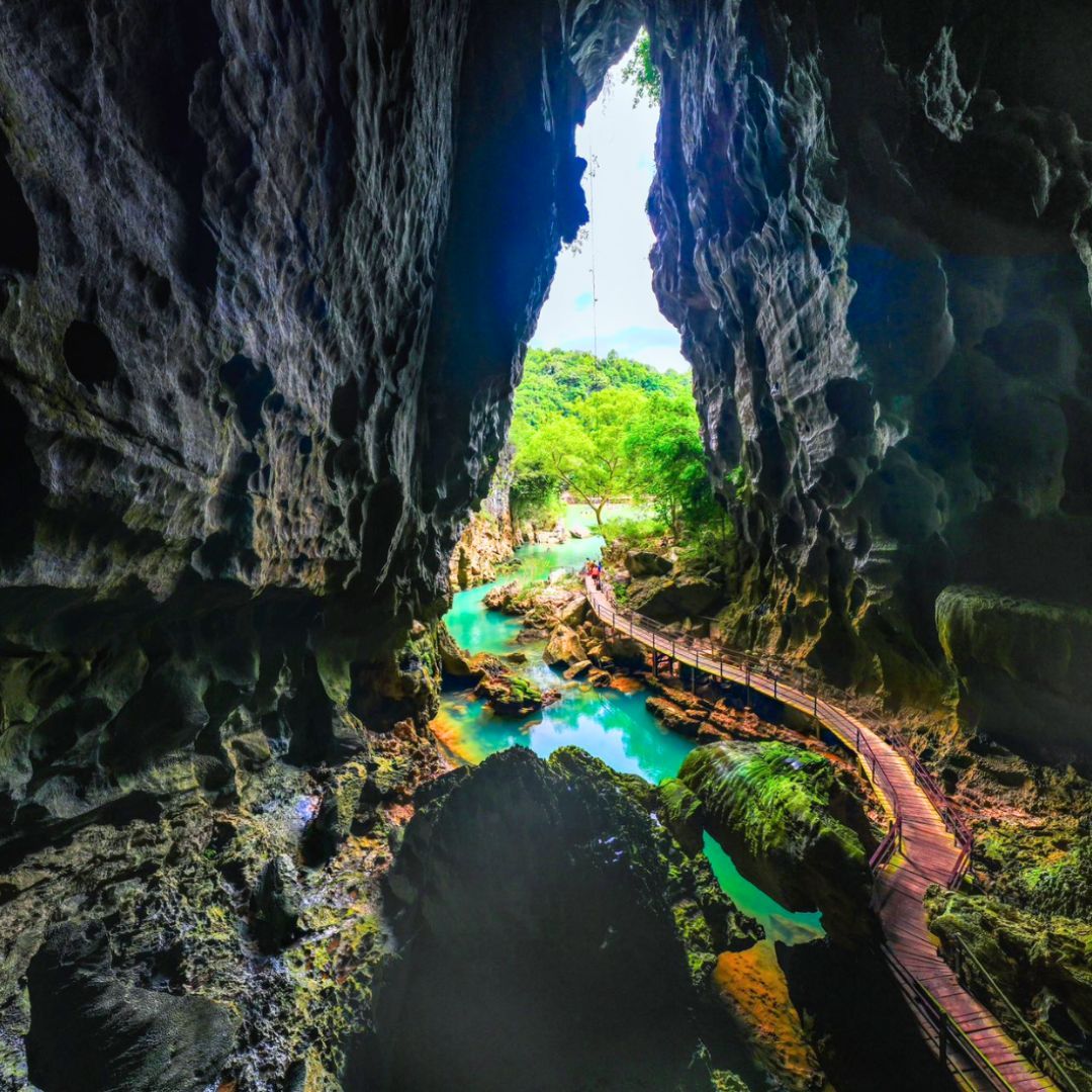 Paradise-cave-and-dark-cave-with-tang's-farm-day-tour