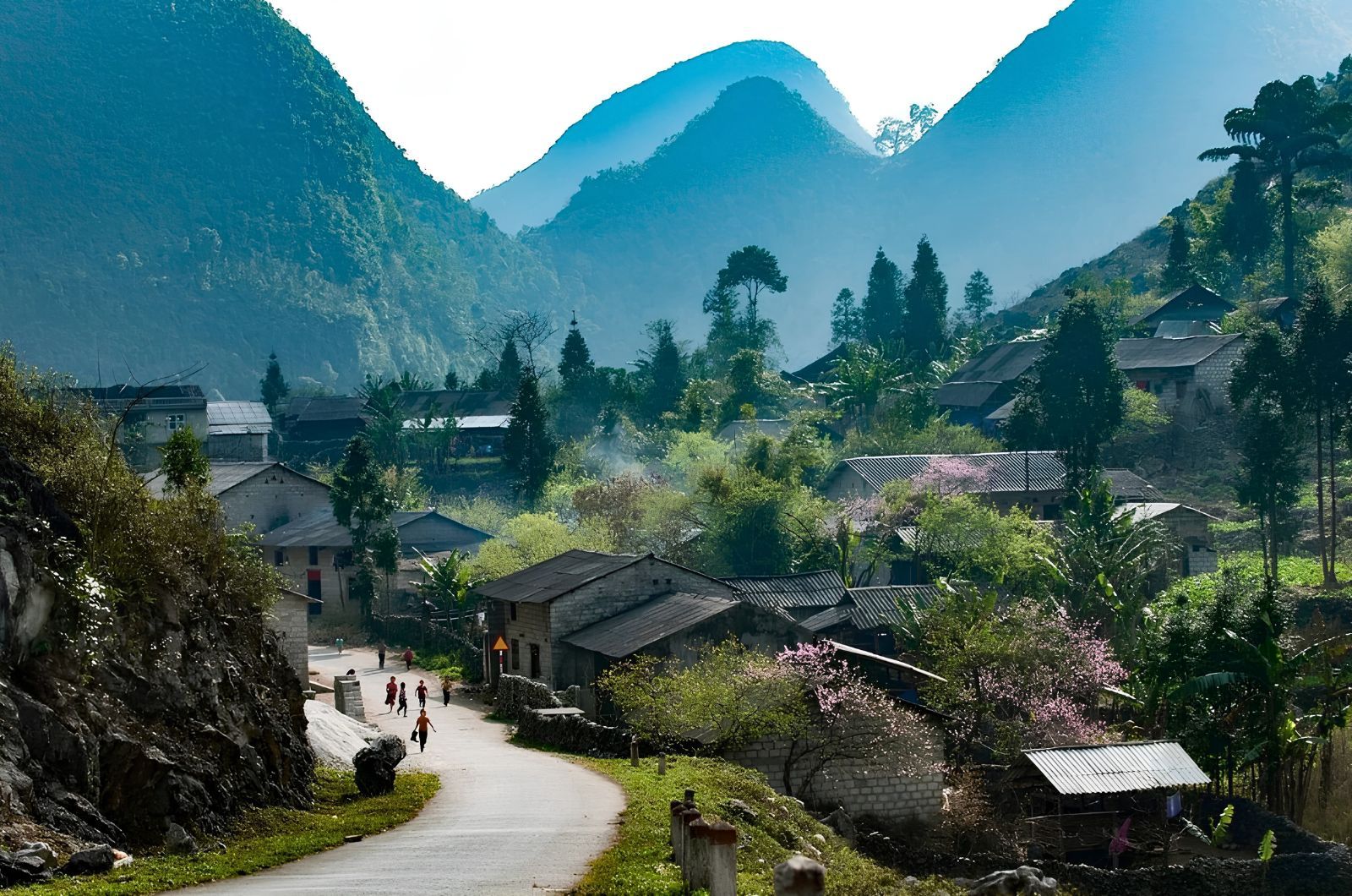 Phố Cáo 