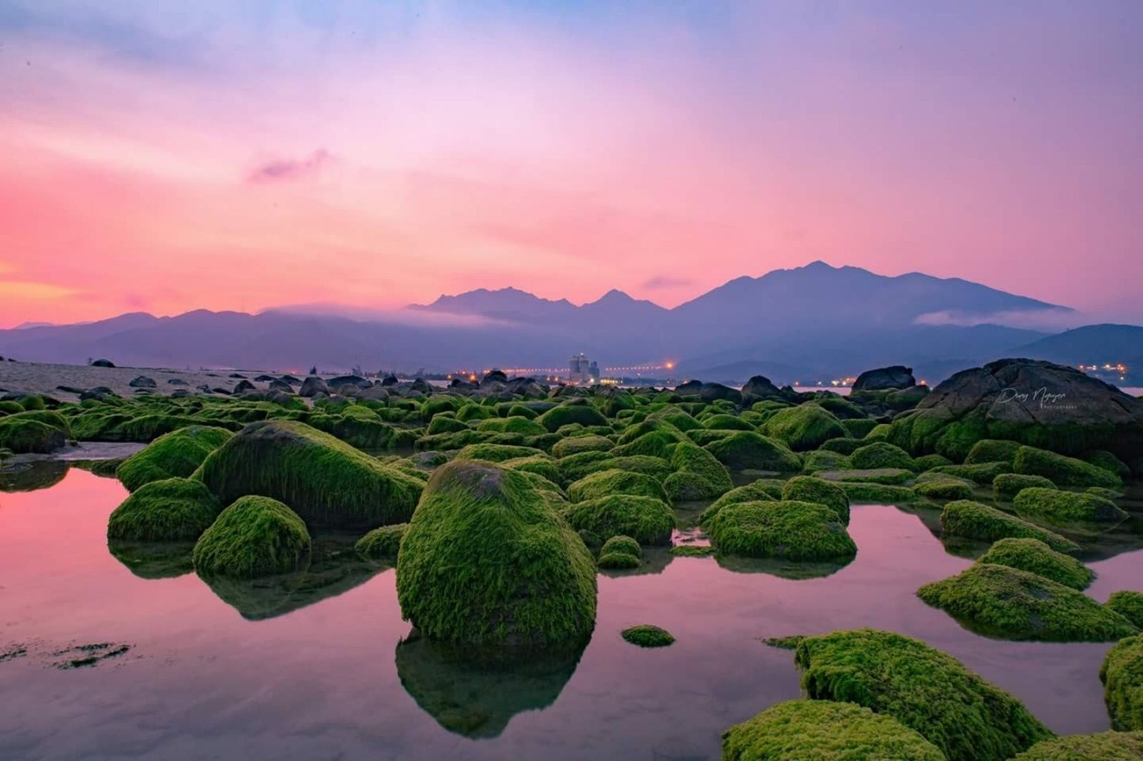 Rạn Nam Ô làm nên sự độc đáo của vùng biển