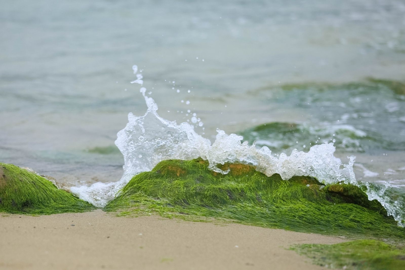 Rạn Nam Ô với vẻ đẹp hoang sơ, hiền hoà, dễ chịu