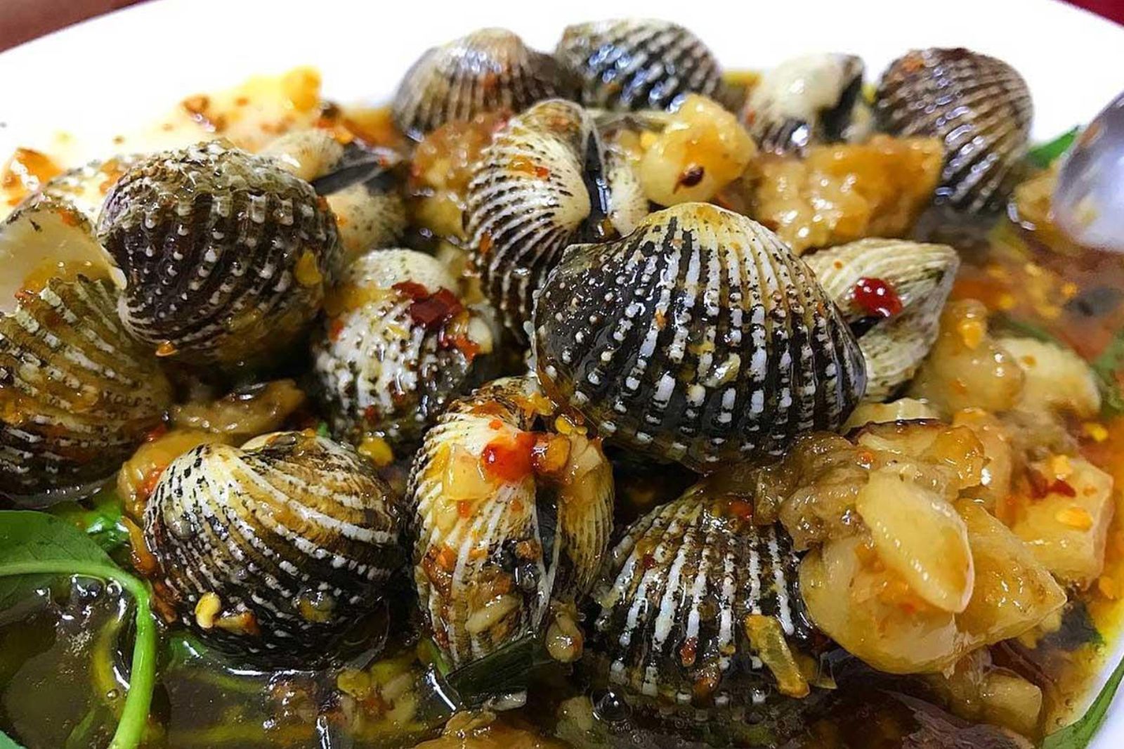 Sò huyết sông Roòn là một trong những đặc sản nổi tiếng của Quảng Bình