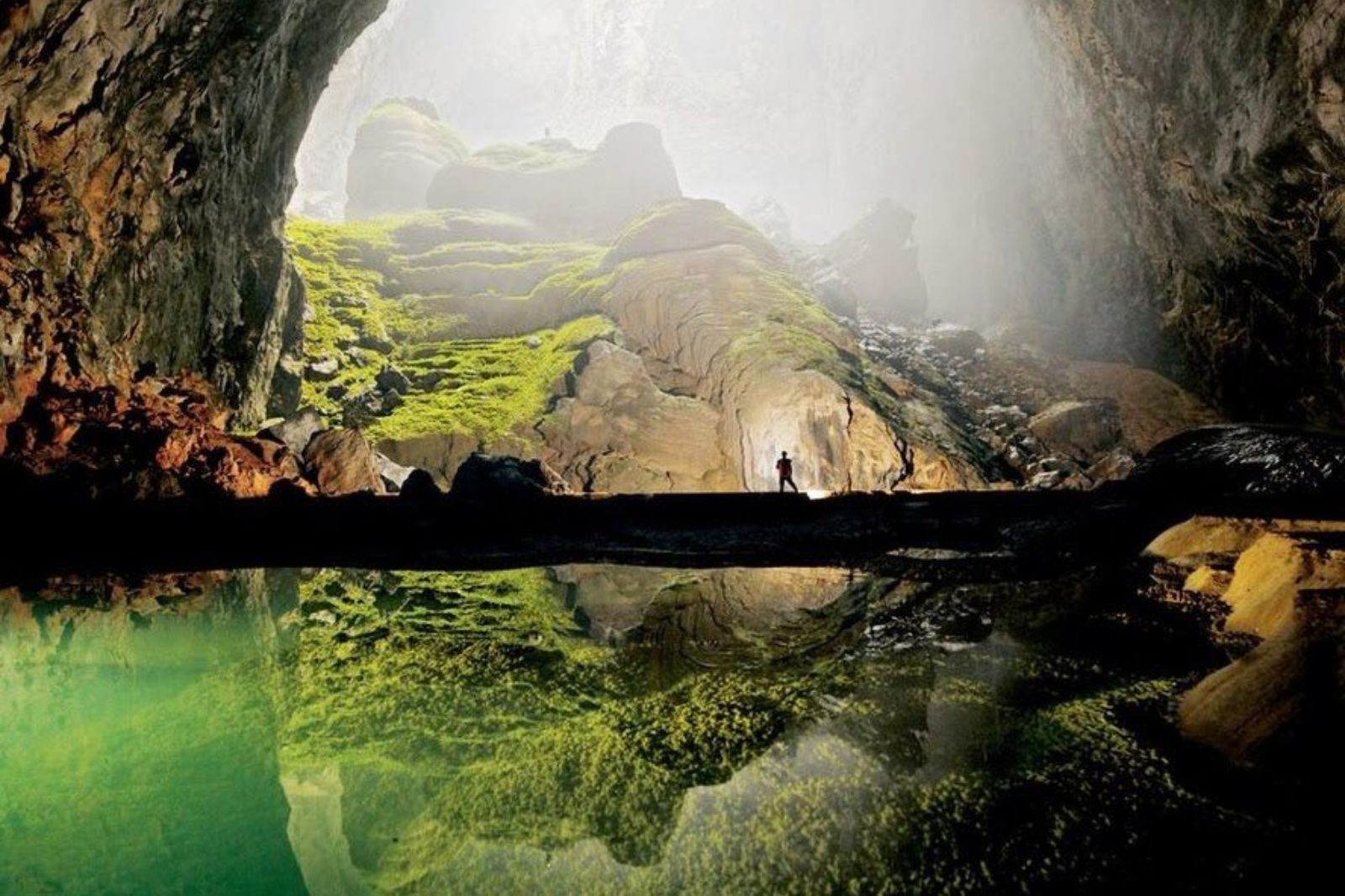 Sơn Đoòng ẩn chứa hệ thực vật vô cùng độc đáo