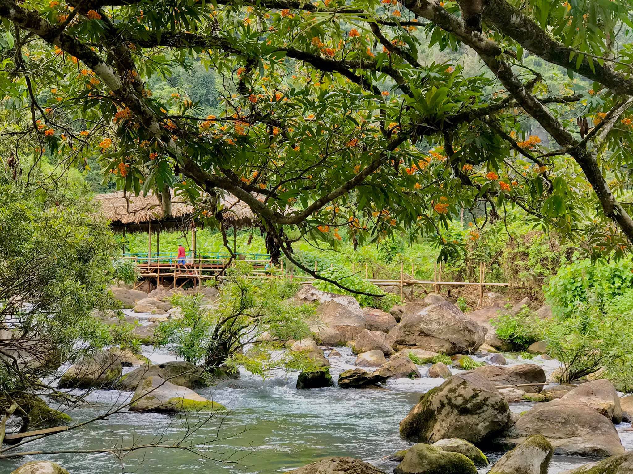 Suối mooc