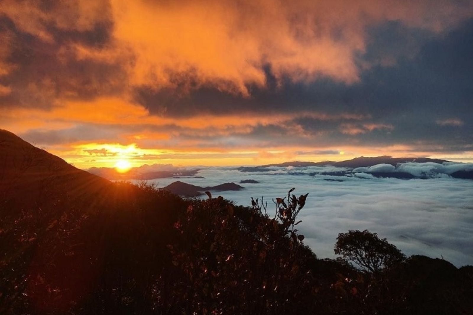 Sương mù phủ kín mỗi sớm mai