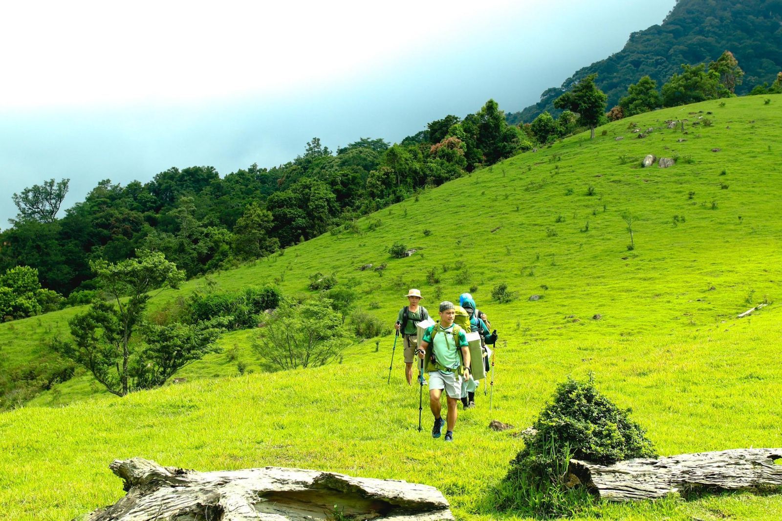 Ảnh: Trekking Đồi cỏ Xa Reng, hòa mình vào thiên nhiên Quảng Trị