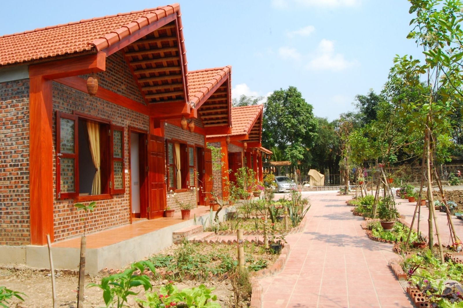 Tam Coc Friendly Homestay 