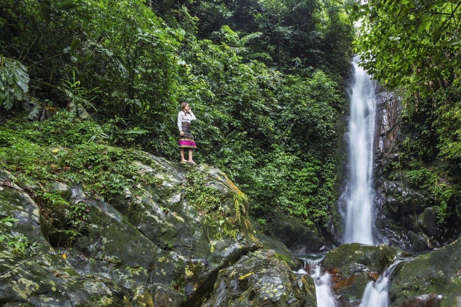 Tấm thảm xanh mướt đa tầng