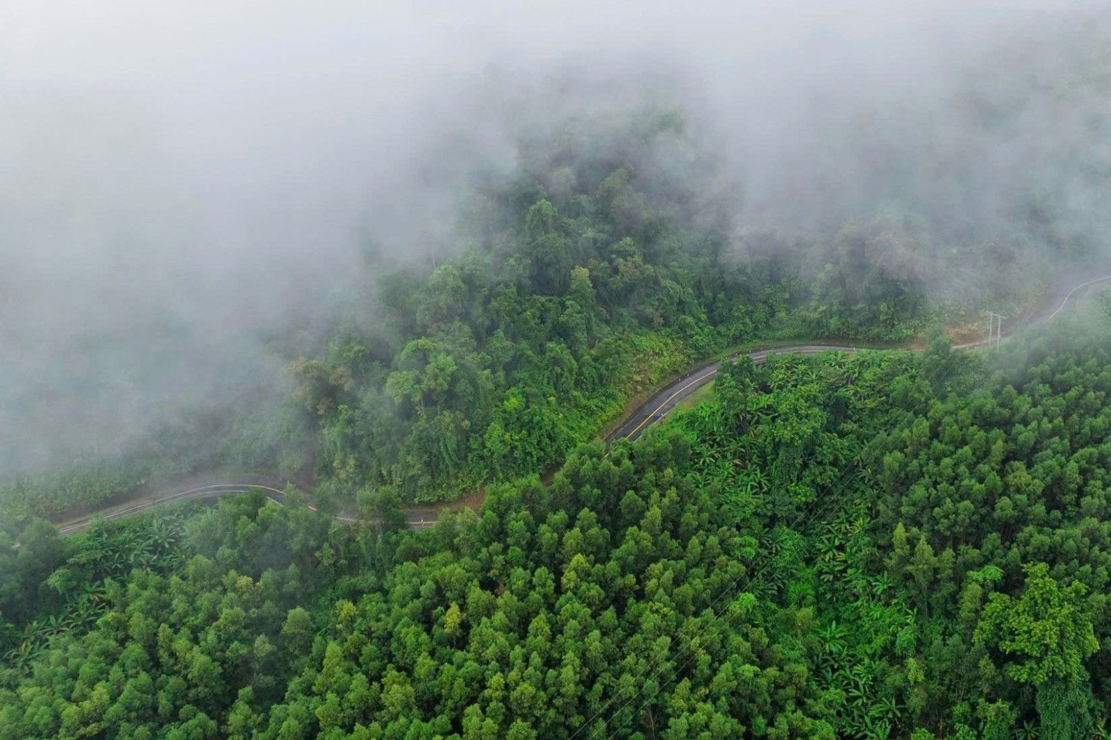 Tham quan vườn địa đàng, cảm nhận vẻ đẹp huyền bí