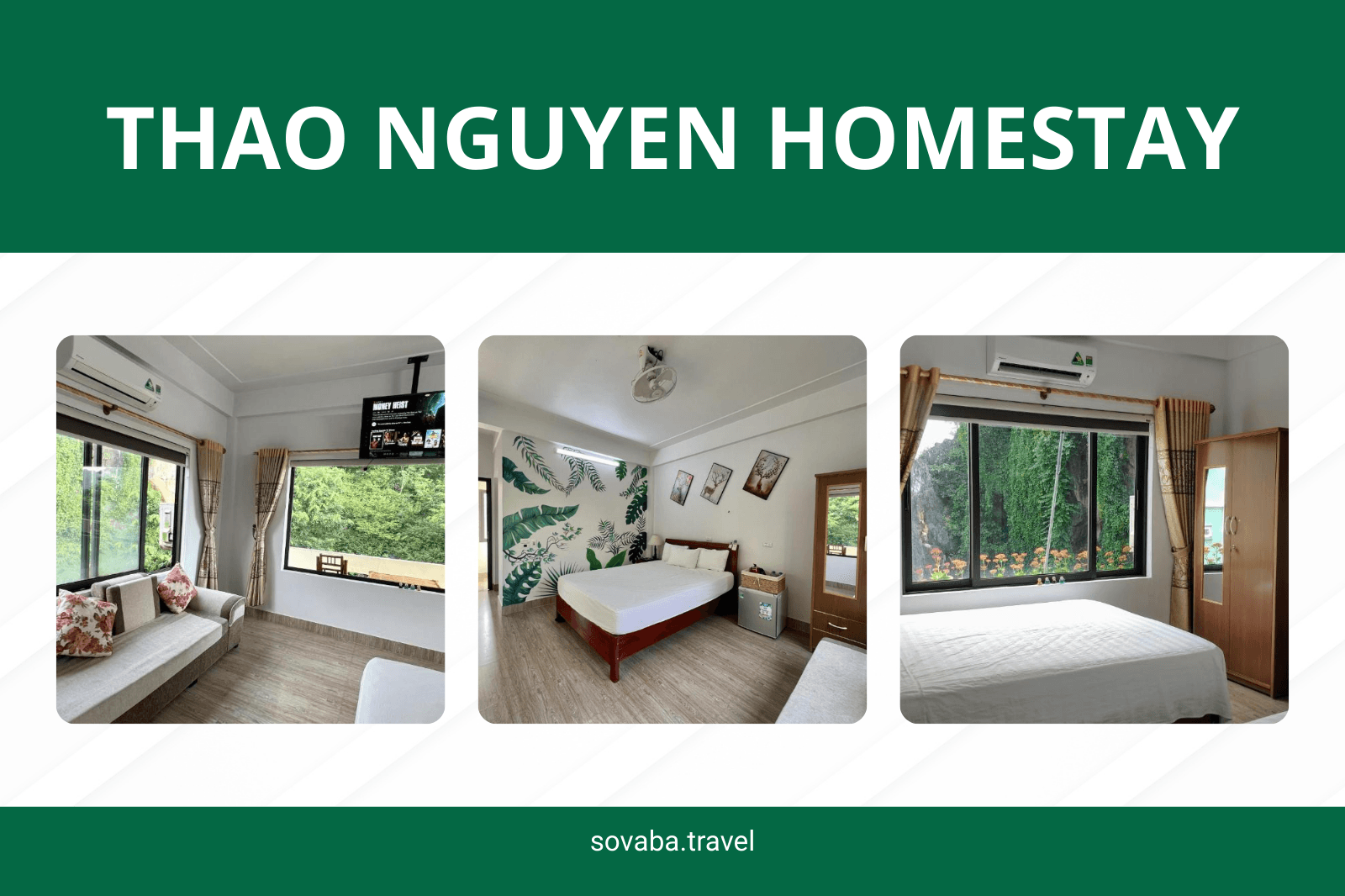 Thảo Nguyên Homestay 