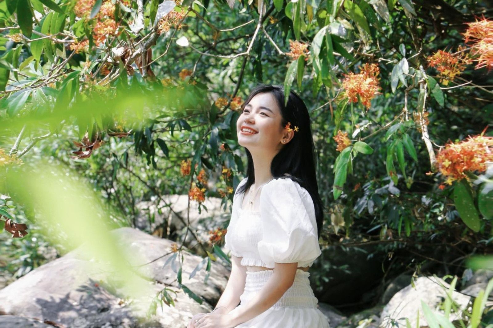 Thời điểm du lịch ngắm hoa vàng anh nở