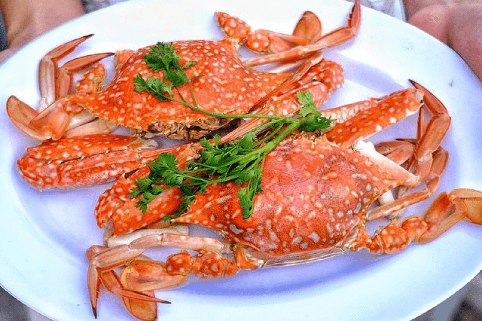Thưởng-thức-ghẹ-Hàm-Ninh
