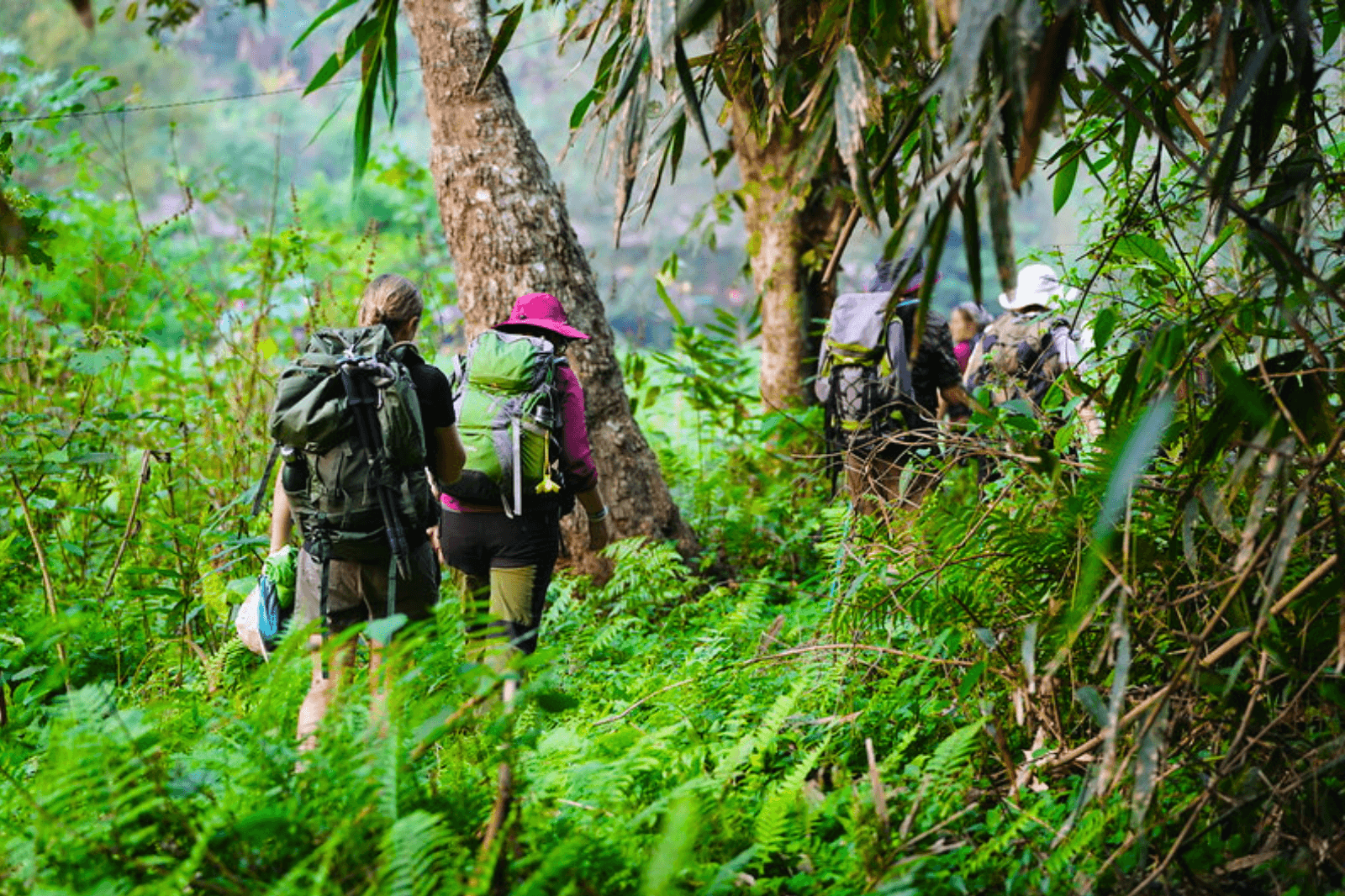 Trải-nghiệm-trekking-đường-rừng