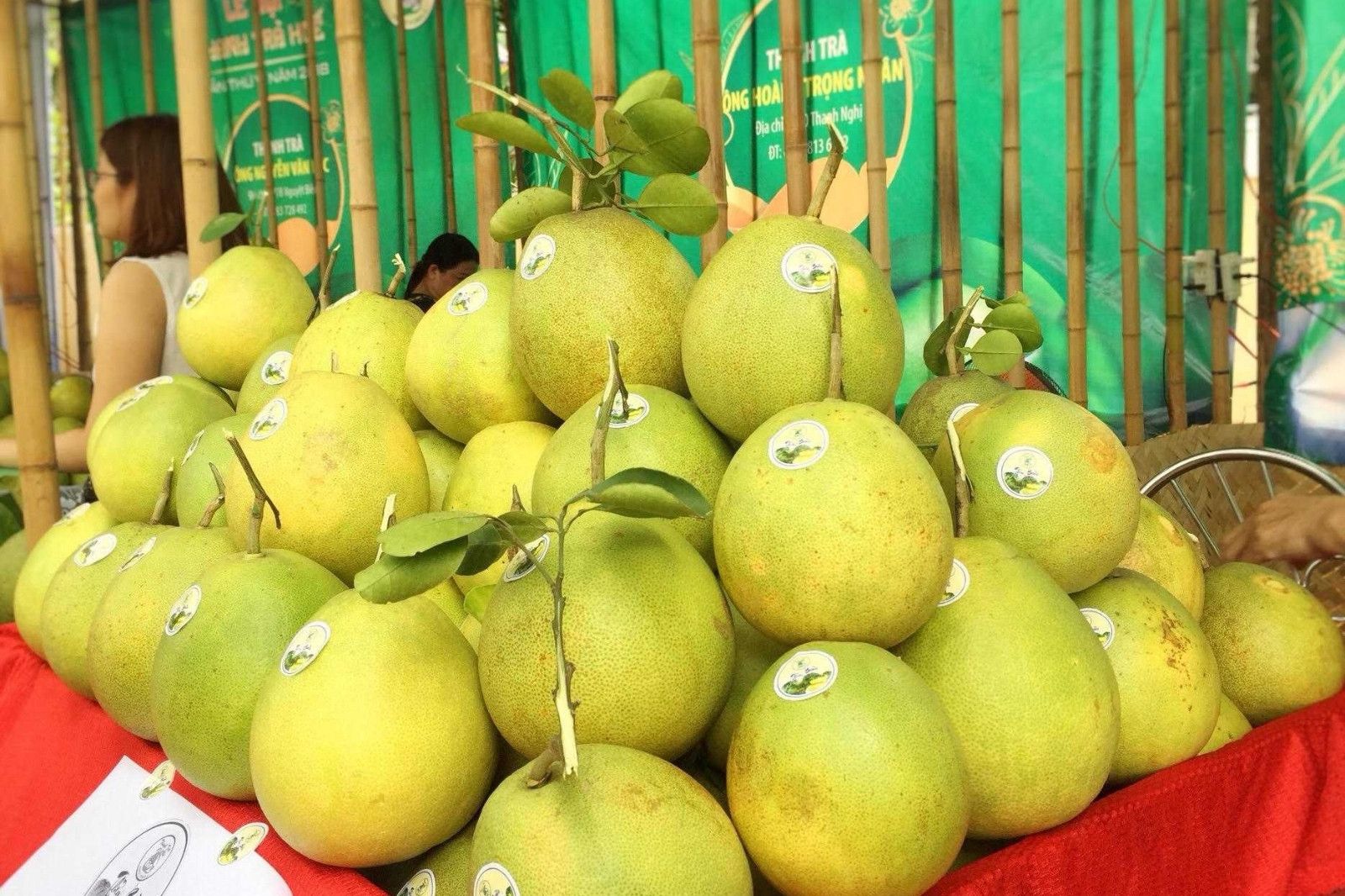 Trái thanh trà, đặc sản tiến vua