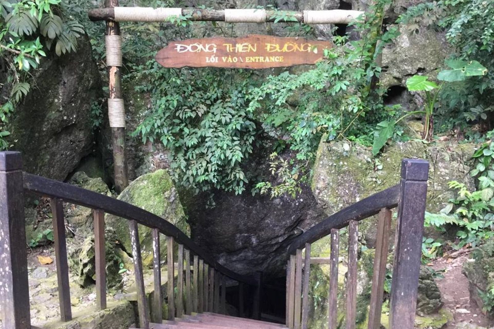 Trekking qua cánh rừng nguyên sinh để đến cửa Động Thiên Đường